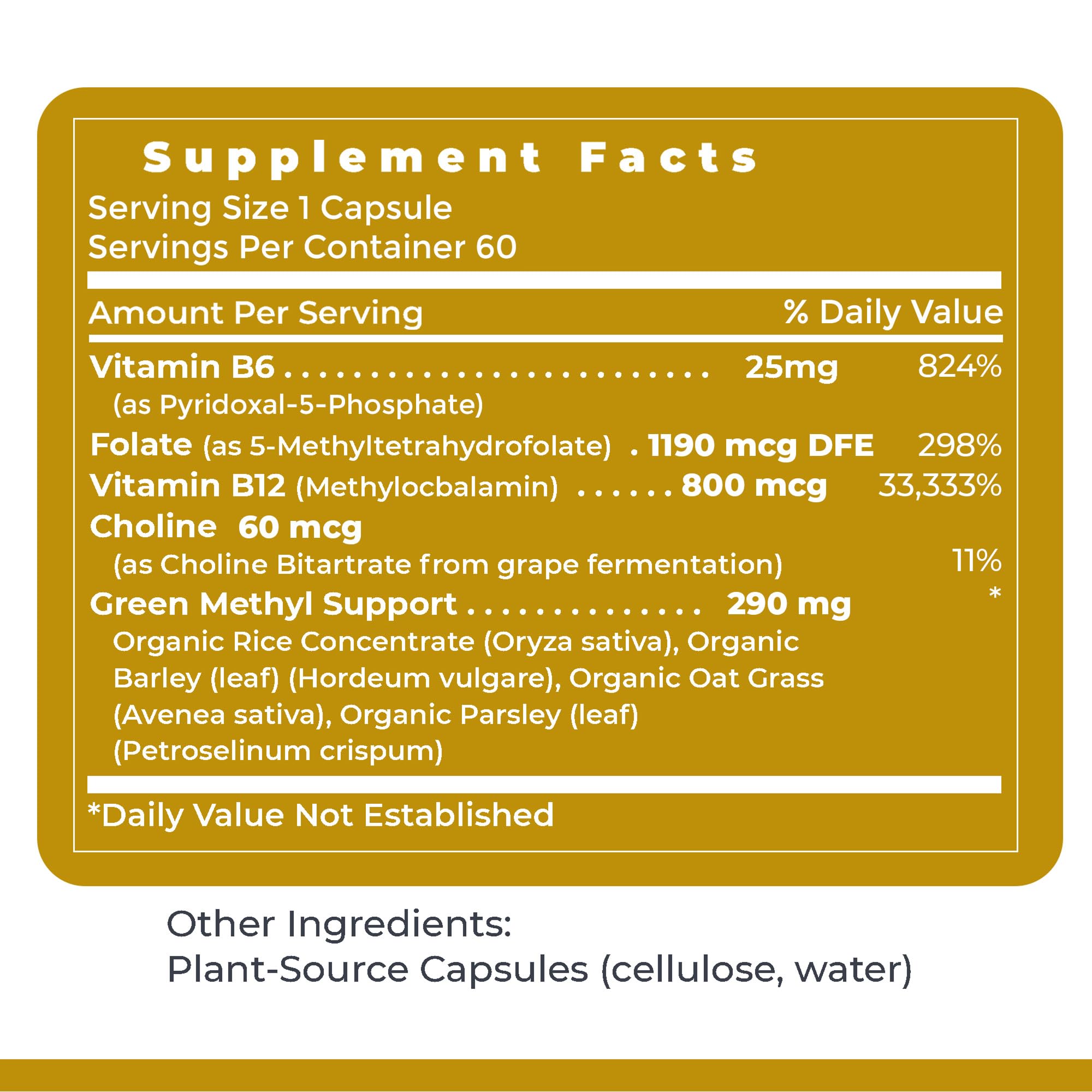 Premier Research Labs Phyto Methylate - B Vitamin Supplement - Supports Methylation, Detox, Brain & Heart Health - 5-MTHF & P5P - 60 Plant-Source Capsules - TrustMedUSA