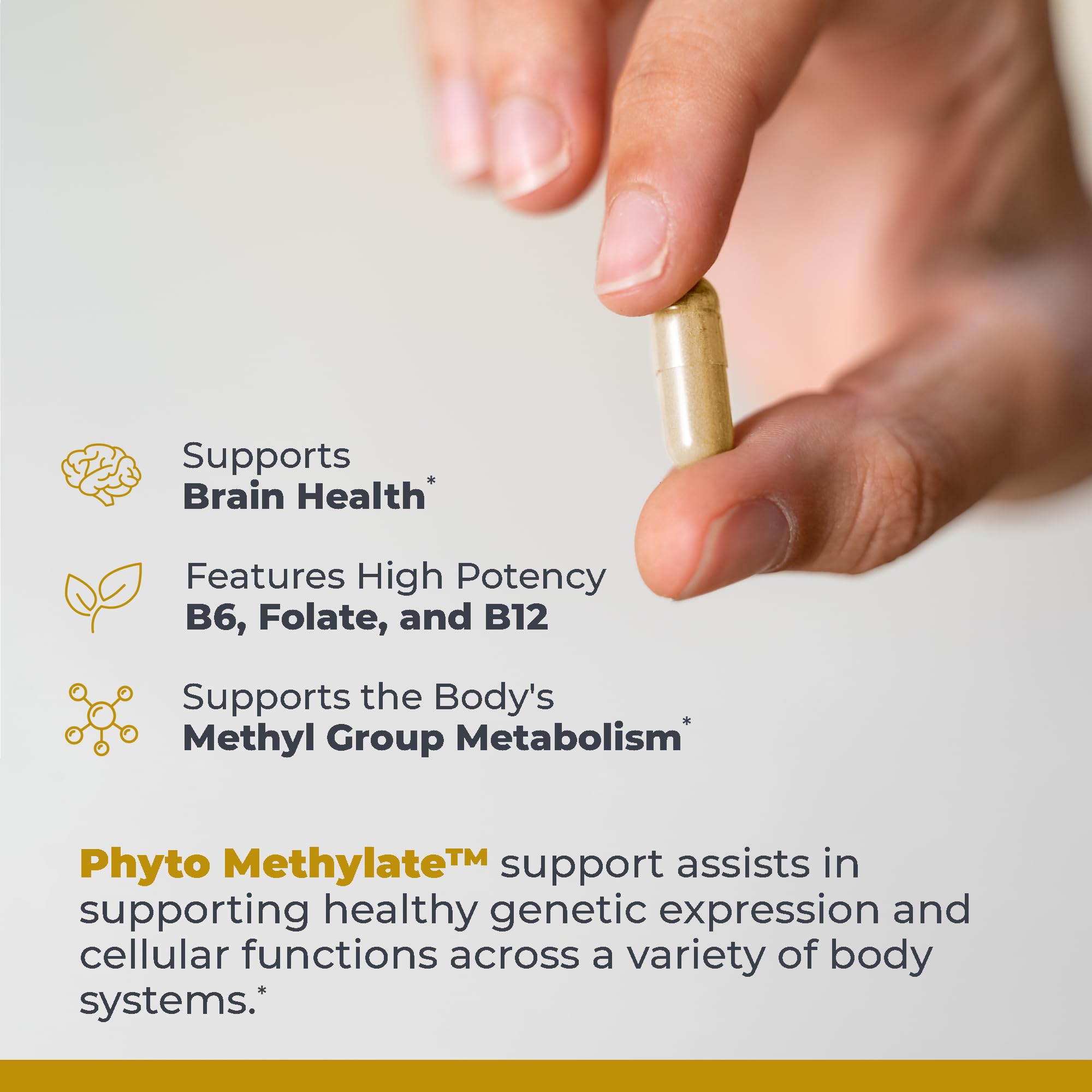 Premier Research Labs Phyto Methylate - B Vitamin Supplement - Supports Methylation, Detox, Brain & Heart Health - 5-MTHF & P5P - 60 Plant-Source Capsules - TrustMedUSA