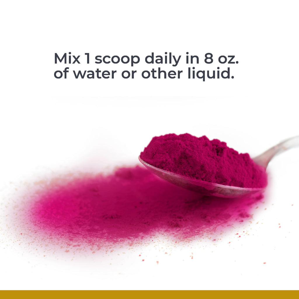 Premier Research Labs Premier Fermented Beets - Beet Root Powder Fermented, Organic Fermented Beets for Men & Women, Beetroot, Nitrates, Blood Pressure Support, USDA Organic - 6.3 Oz Jar - TrustMedUSA