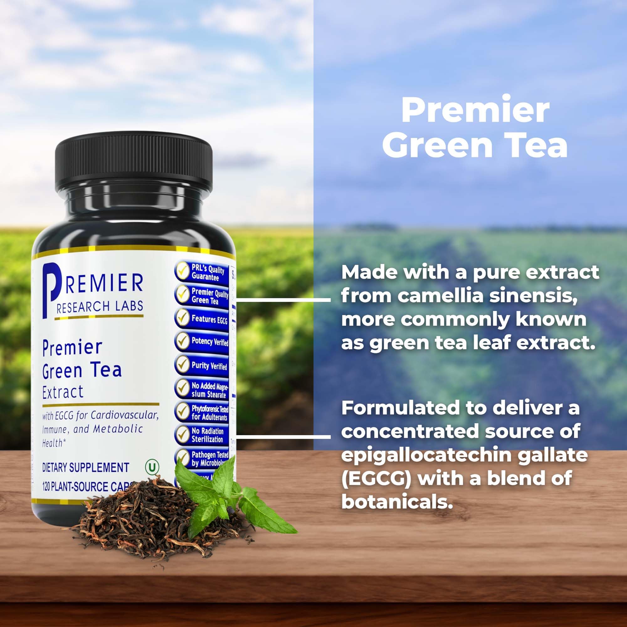 Premier Research Labs Premier Green Tea Extract - Green Tea Capsules, Green Tea Extract Pills, Green Tea Supplement with ECGC, Camellia Sinensis, Pure, Vegan Friendly - 120 Vegetarian Capsules - TrustMedUSA