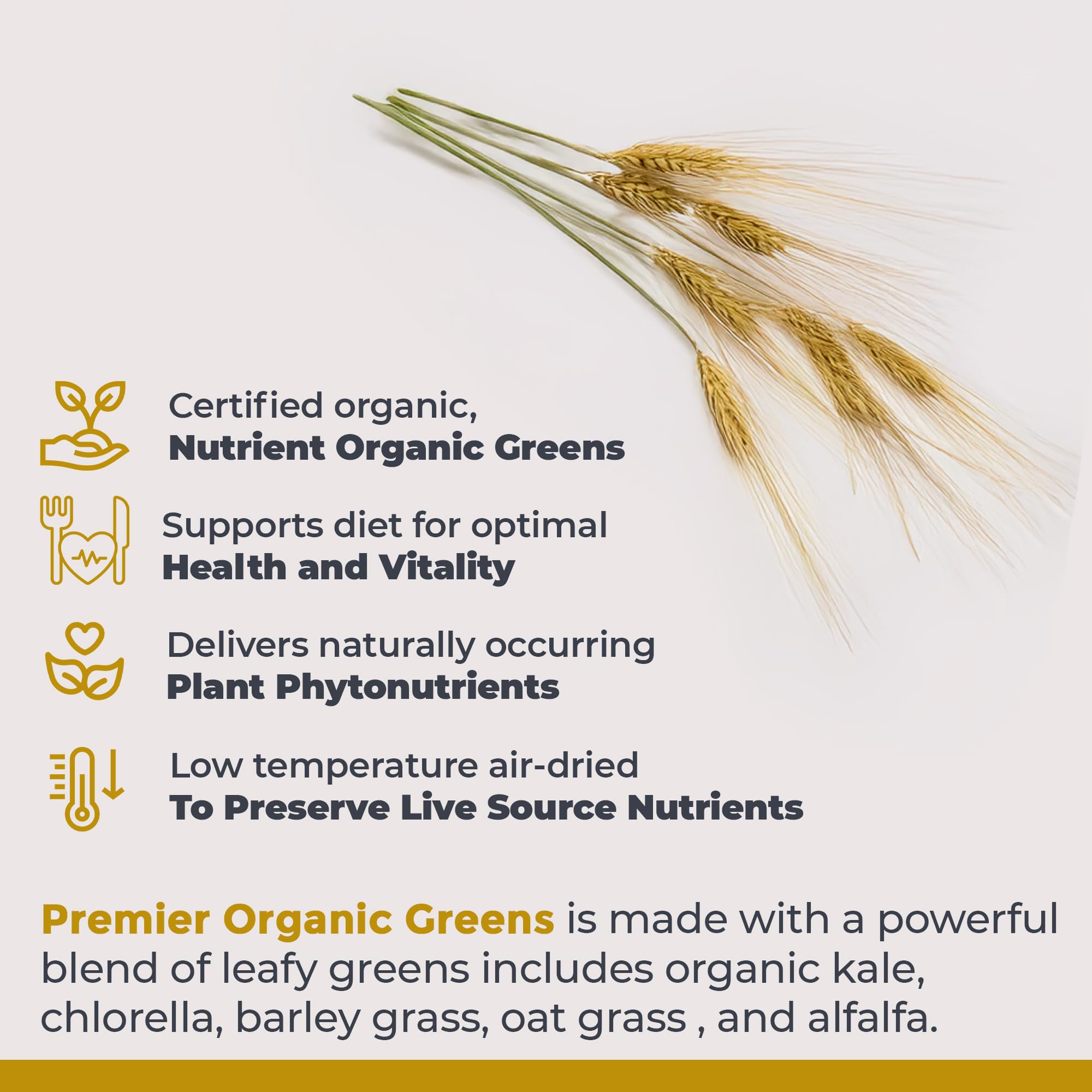 Premier Research Labs Premier Organic Greens - Super Greens Powder, Greens Superfood Powder for Drinks, Green Juice, Nutrition Support, Supergreens for Men & Women, Spinach, Alfalfa, Chlorella - 10 oz - TrustMedUSA