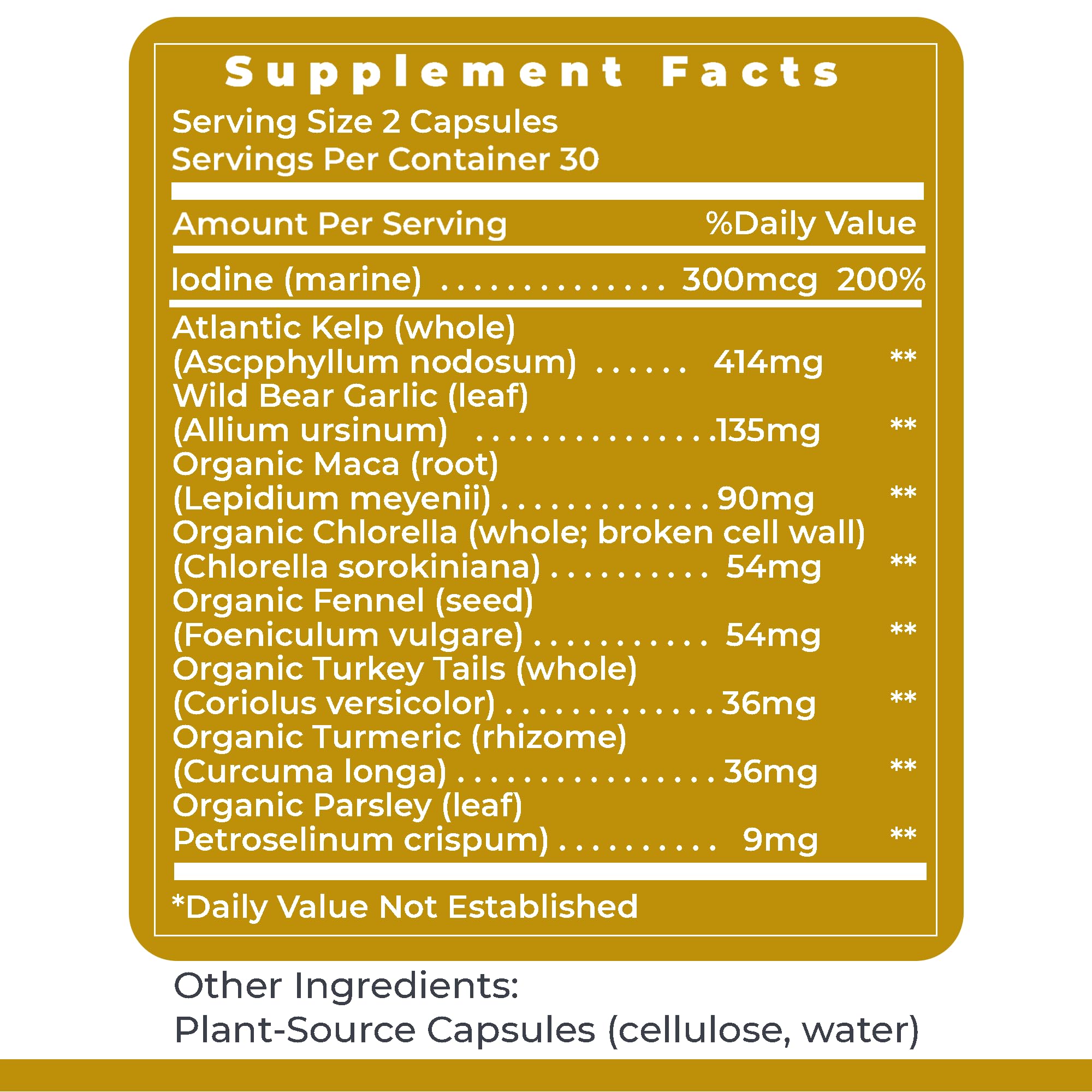 Premier Research Labs ThyroVen - Thyroid Support for Women, Thyroid Support for Men, Thyroid Supplement, Thyroid Support Complex with Naturally-Sourced Iodine - 60 Capsules - TrustMedUSA