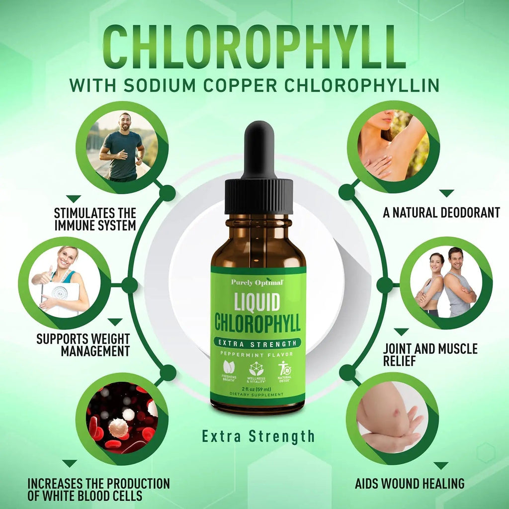 Premium Chlorophyll Liquid Drops - 100% Natural & Gluten Free Liquid Chlorophyll - TrustMedUSA