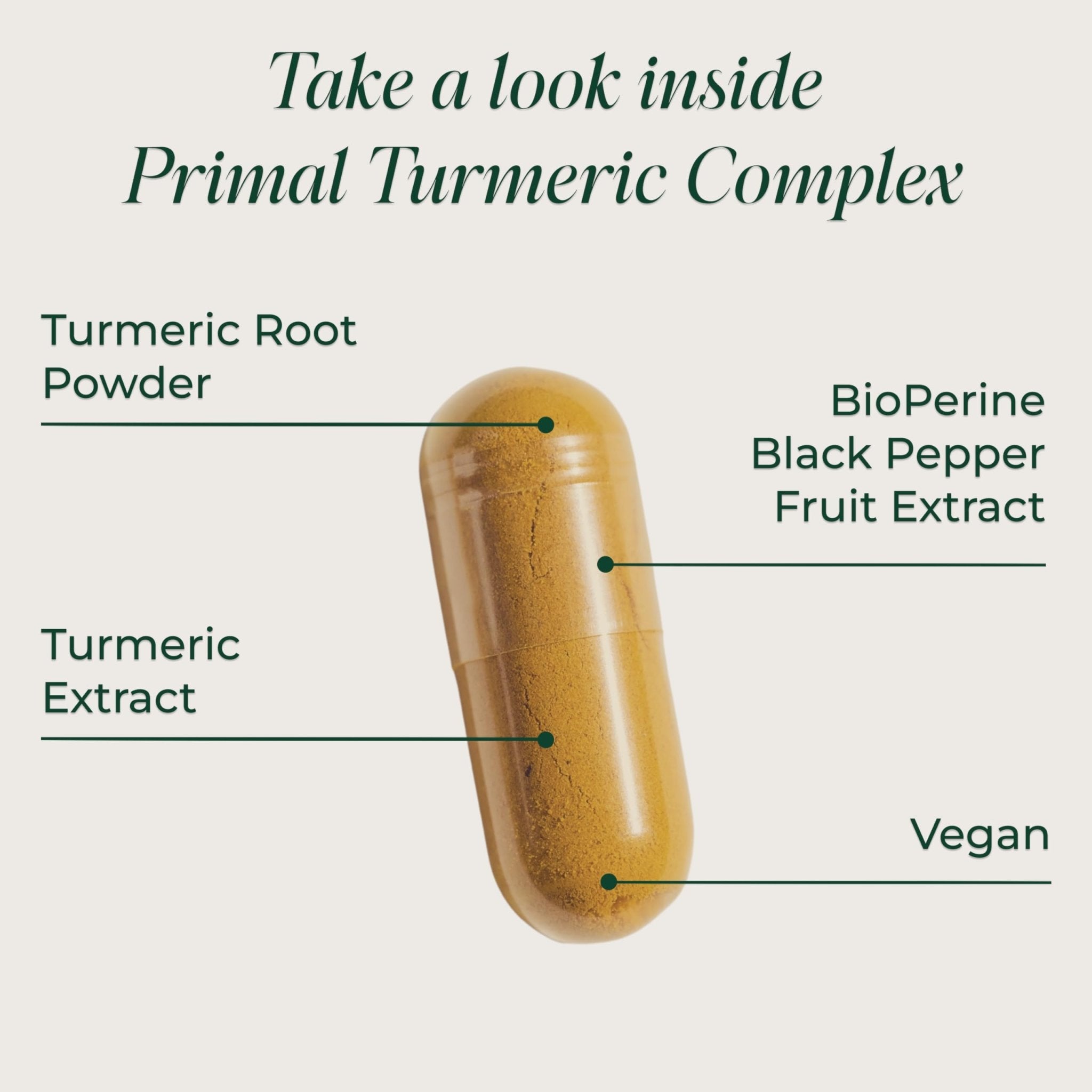 Primal Harvest 1 Pack, Primal Turmeric Complex w/Black Pepper Extract, Joint and Mobility Support Turmeric Supplement for Women & Men, 60 Capsules - TrustMedUSA