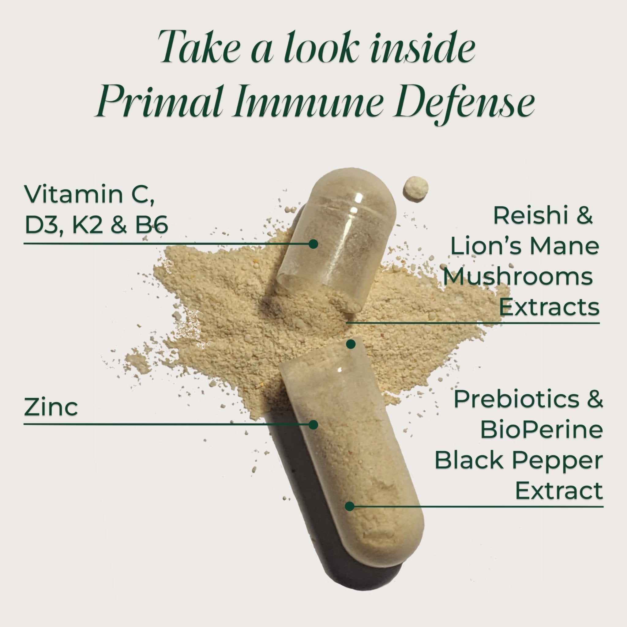 Primal Harvest Immune Defense 10-in-1 Supplement with Probiotics, Zinc, and Vitamins C, D3, K2, B6 Daily Immune Support for Adults - Maple Wellness Supplements