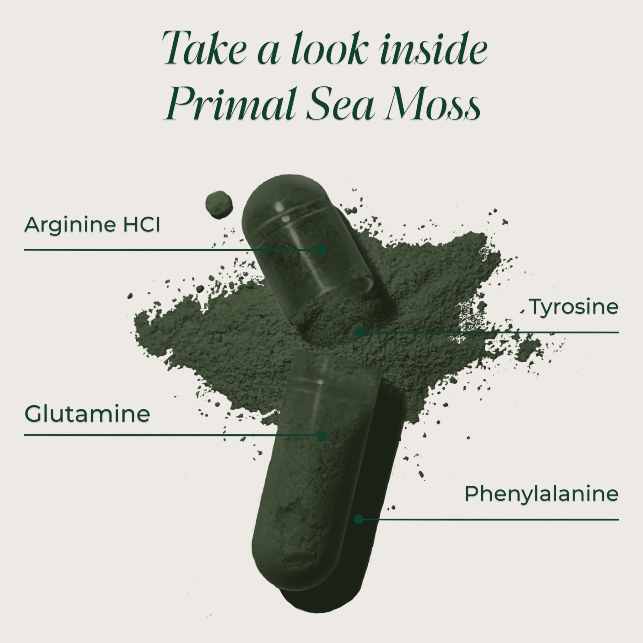 Primal Harvest Sea Moss Capsules with Bladderwack and Irish Sea Moss, Chlorella, Broccoli Seed Extract Plant-Based Supplements for Adults - TrustMedUSA