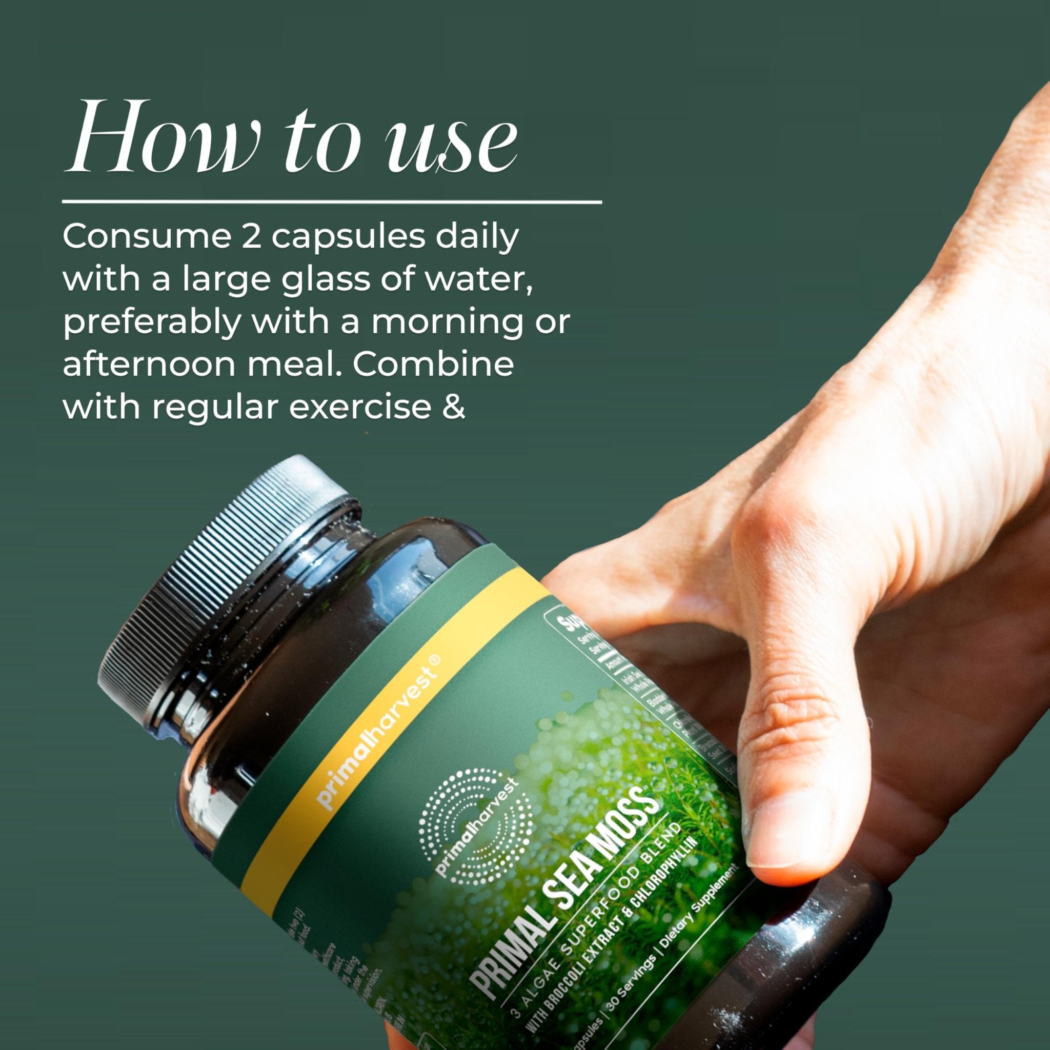 Primal Harvest Sea Moss Capsules with Bladderwack and Irish Sea Moss, Chlorella, Broccoli Seed Extract Plant-Based Supplements for Adults - TrustMedUSA