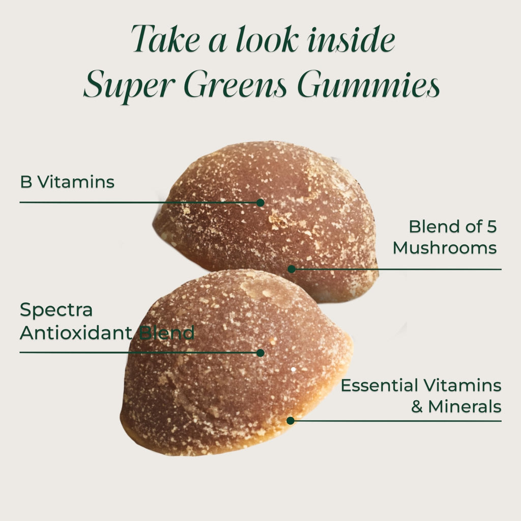 Primal Harvest Super Greens Gummies, Superfood Blend with Adaptogenic Mushrooms Vitamins & Nutrient-Rich Minerals & Antioxidants for Energy & Immune Support 1 Pack 60 Count, - TrustMedUSA