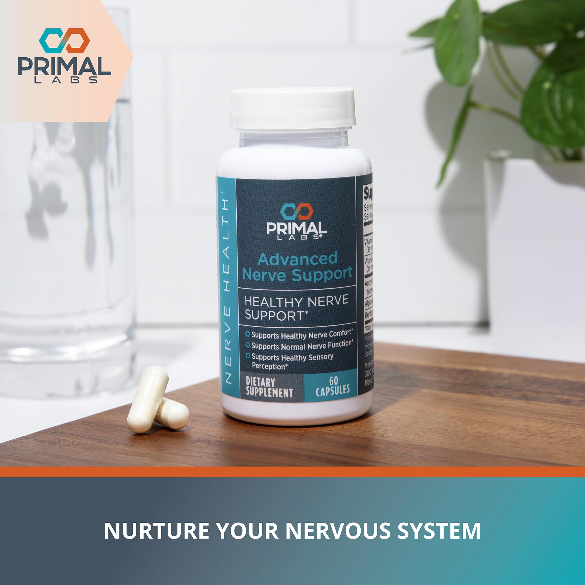 Primal Labs Nerve Support Capsules - Supports Nerve Health, Sensory Function & Comfort - Benfotiamine, Alpha Lipoic Acid, Acetyl L-Carnitine, Vitamins B6 B12-60 Count - TrustMedUSA