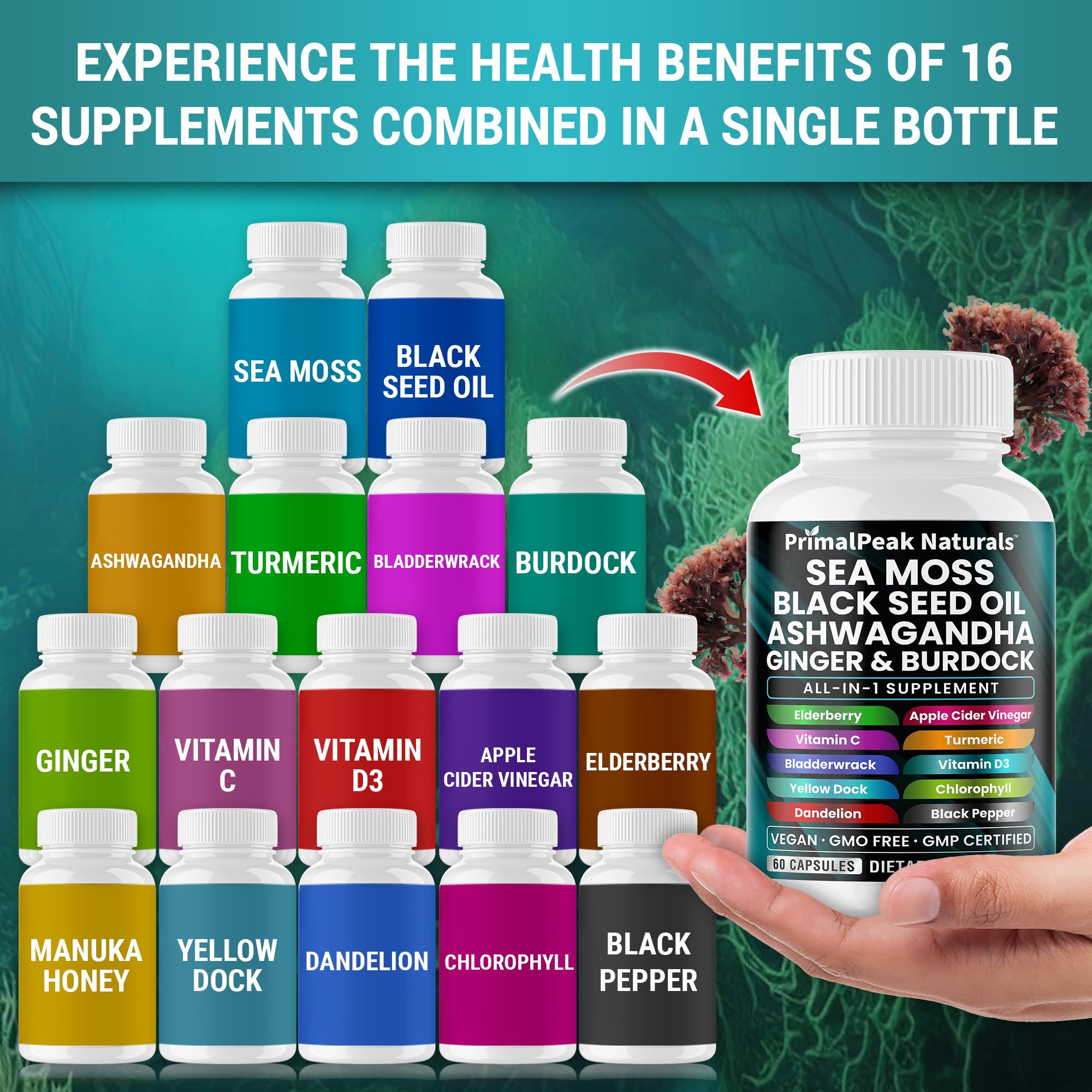 PrimalPeak Naturals Sea Moss Black Seed Oil Ashwagandha Ginger Burdock Bladderwrack Turmeric & Vitamin C Vitamin D3 with ACV Elderberry Chlorophyll Dandelion Yellow Dock Vegan Capsules - 60 Count - TrustMedUSA