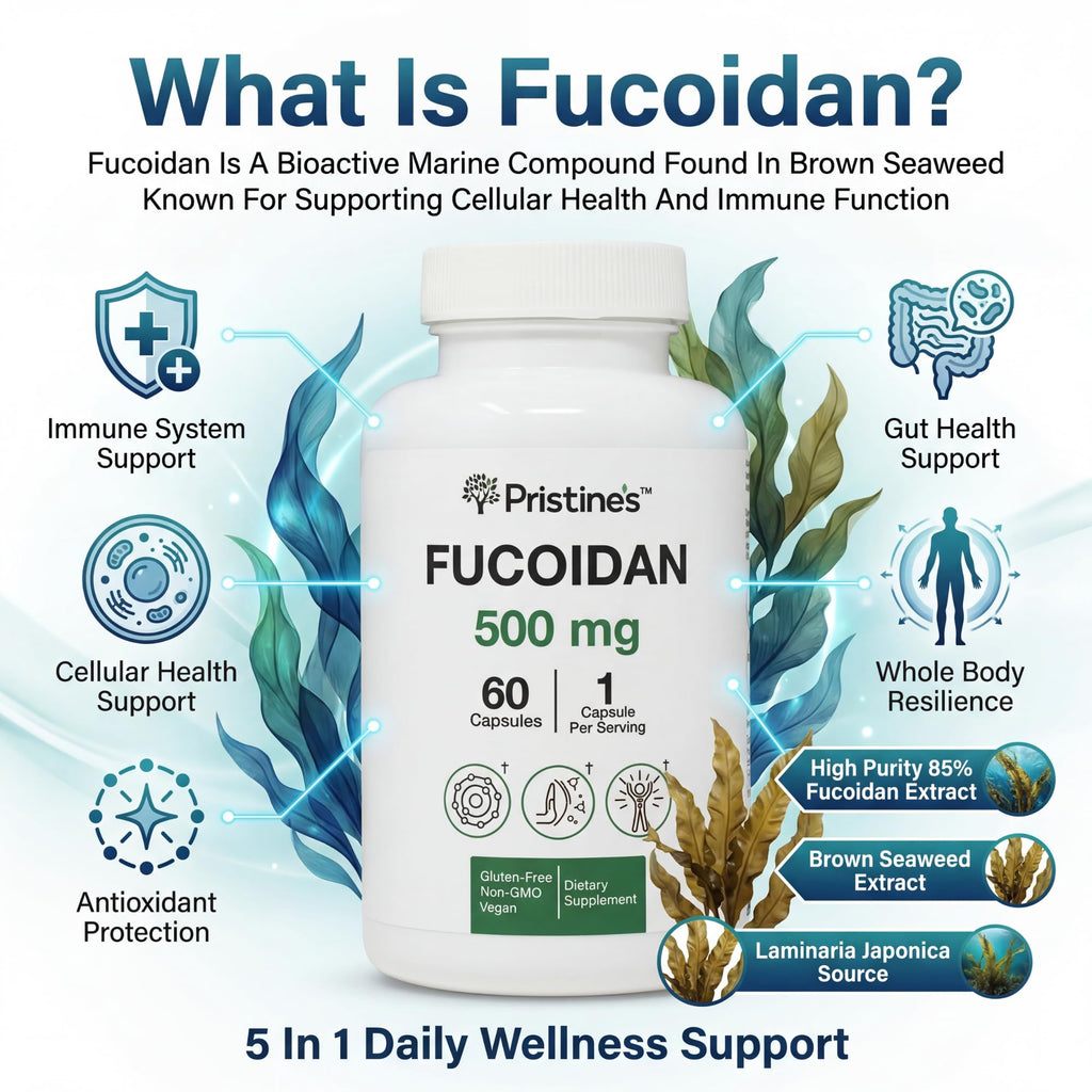 PRISTINE'S Fucoidan 500MG Immunity Supplement Capsules - 60 Day Supply - Brown Seaweed Extract - Potent Herbal Antioxidant Lung Health & Skin Health Support - TrustMedUSA