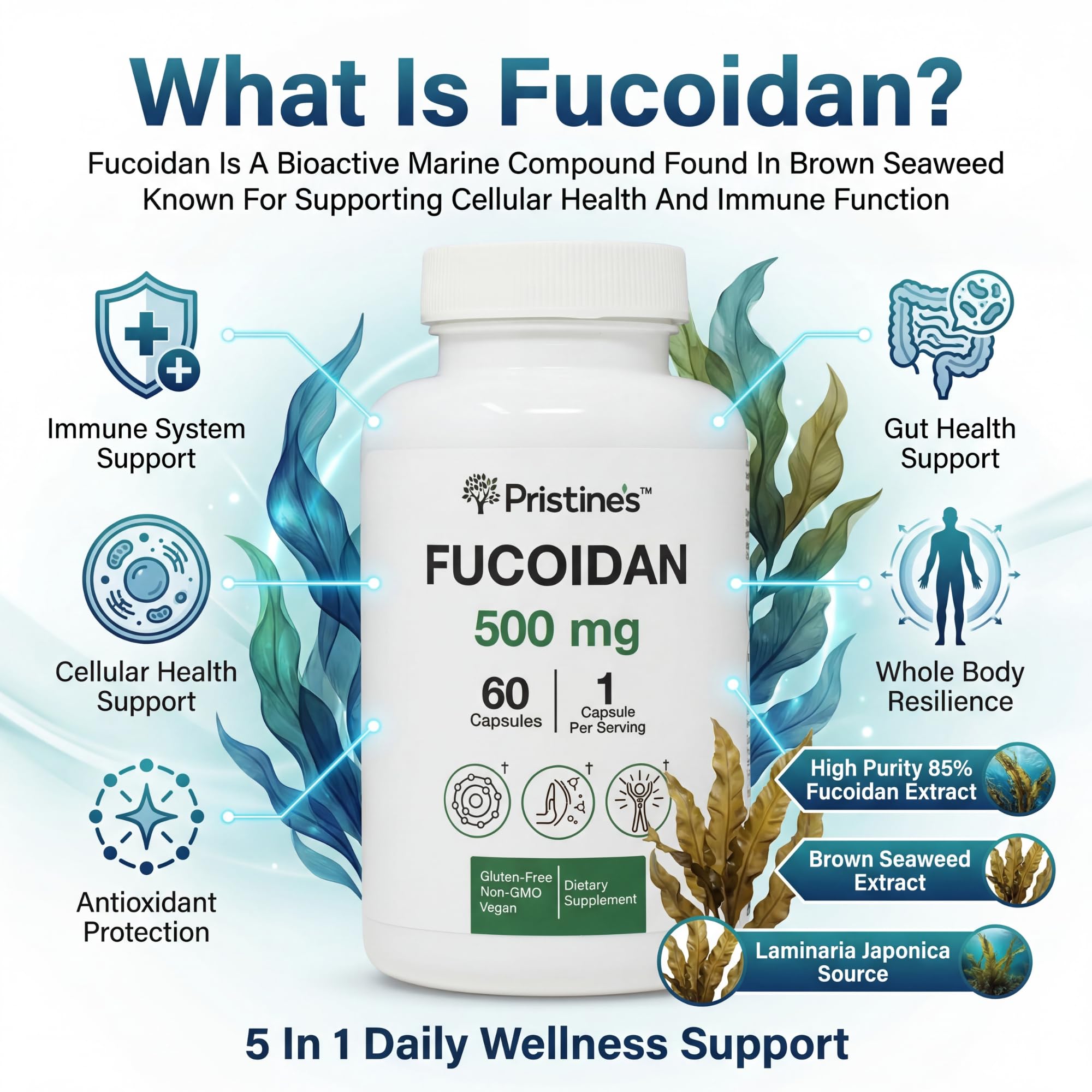 PRISTINE'S Fucoidan 500MG Immunity Supplement Capsules - 60 Day Supply - Brown Seaweed Extract - Potent Herbal Antioxidant Lung Health & Skin Health Support - TrustMedUSA