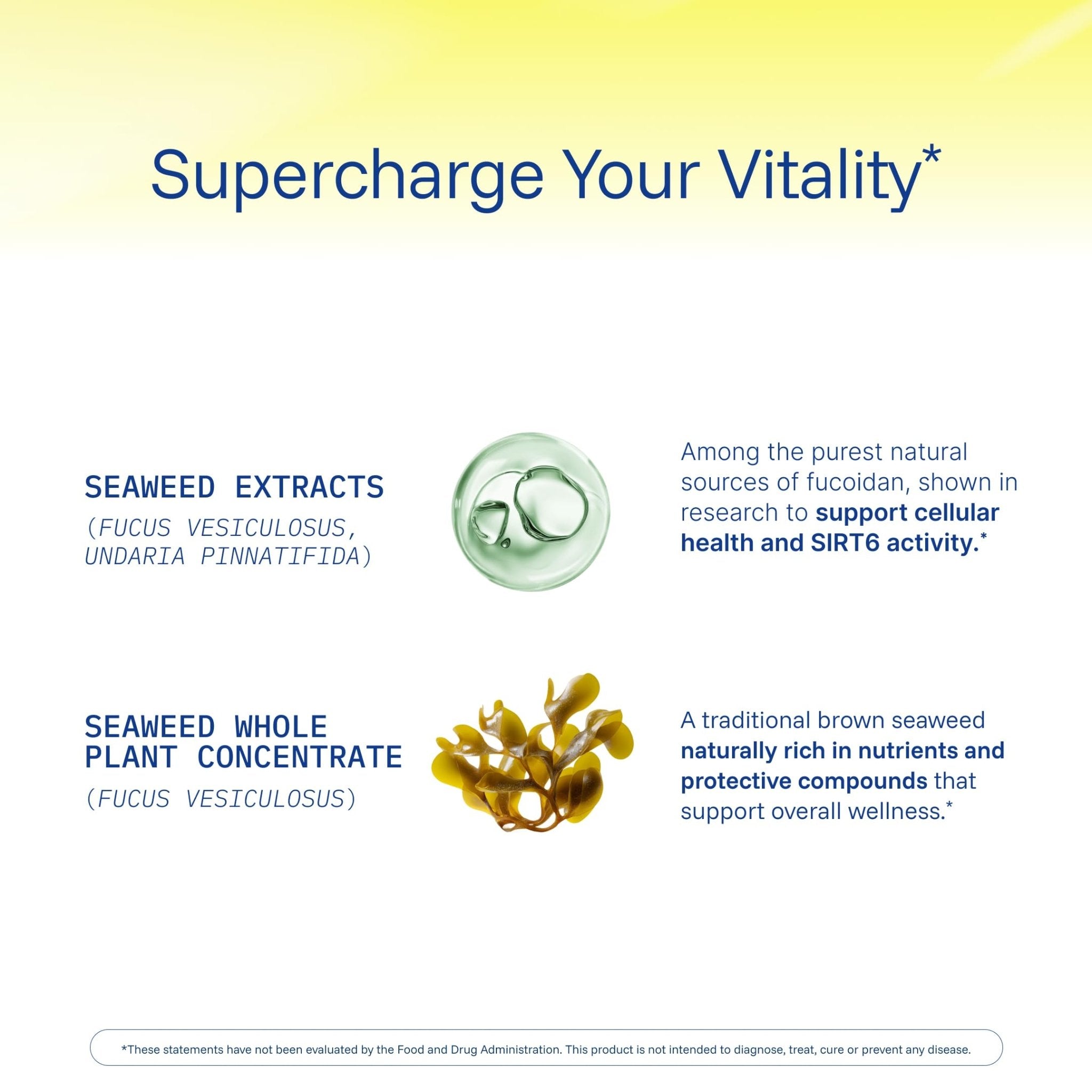 ProHealth Sirtuin 6 Activator | 60 Capsules | Fucoidan-Rich Seaweed Extract to Activate SIRT6 for Longevity, DNA & Cellular Support | Triple Lab-Tested, GMP-Manufactured in USA - TrustMedUSA