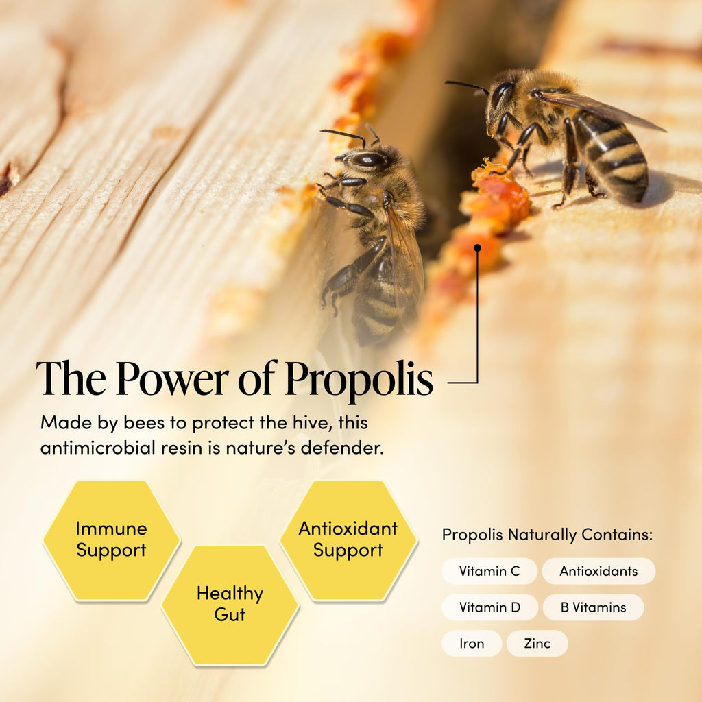 Propolis Throat Spray by Beekeeper's Naturals - 95% Bee Propolis Extract, Natural Immune Support & Sore Throat Relief - Antioxidants, Keto, Paleo, Gluten-Free (1.0 oz)(Pack of 1) - Maple Wellness Supplements