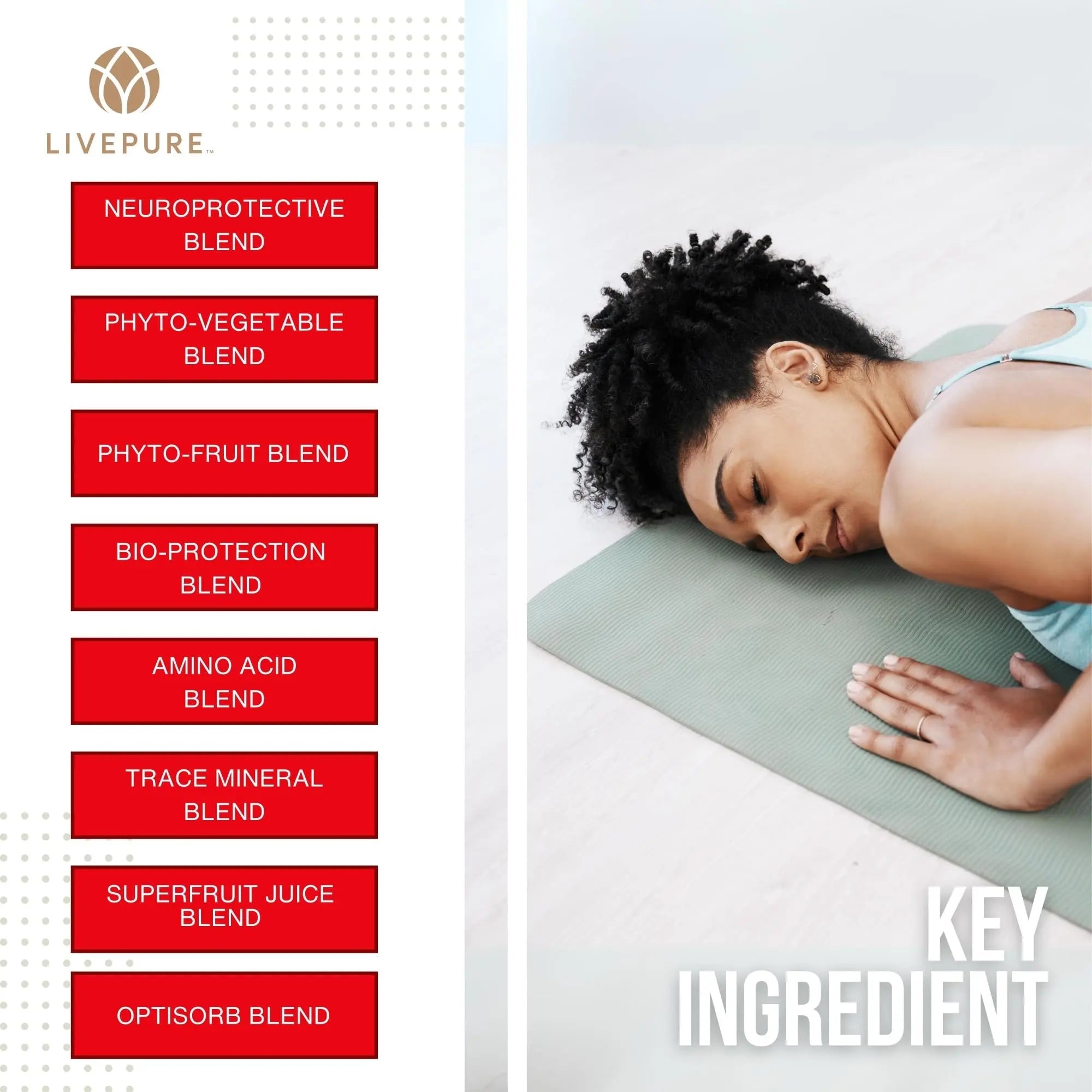 PURE Daily Build | 120 Capsules | Advanced Multivitamin Supplement | Enhanced with Essential Vitamins, Minerals - TrustMedUSA