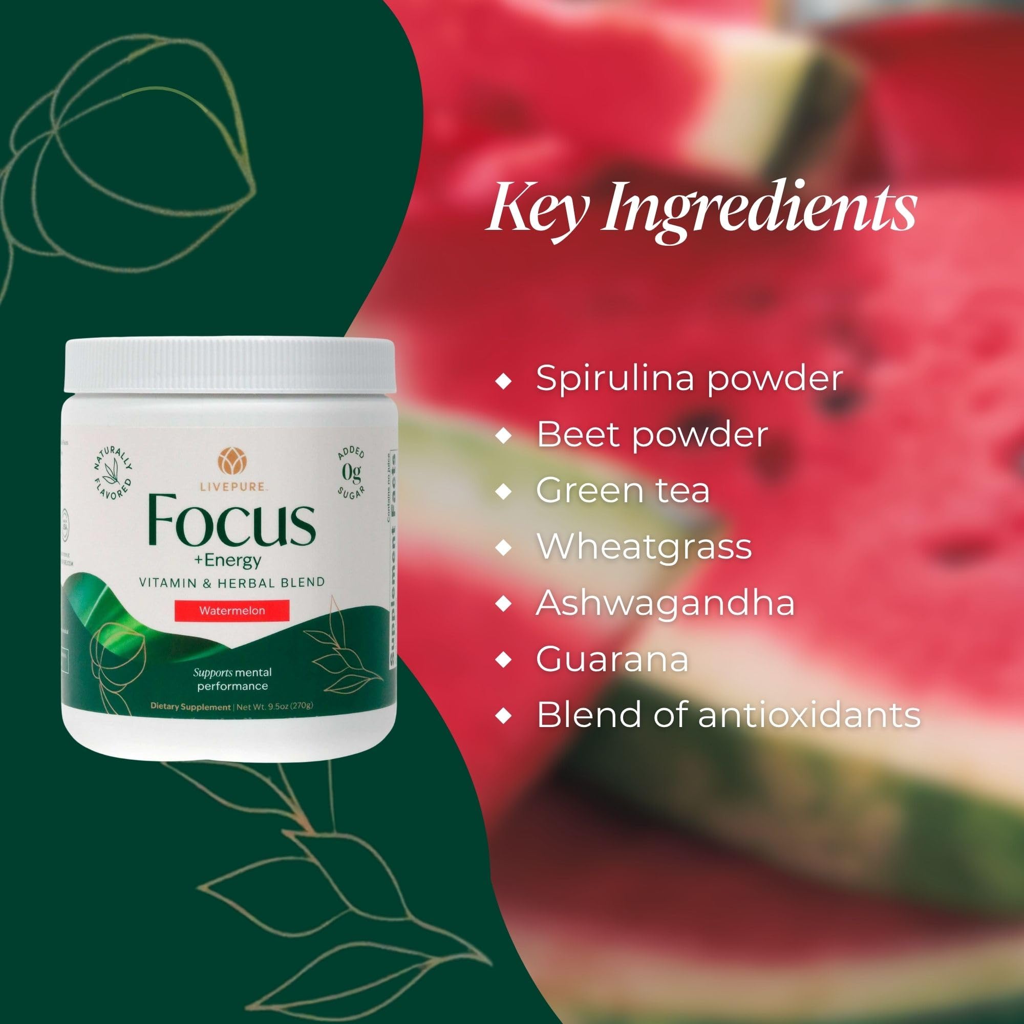 PURE Focus + Energy Tub Drink Mix | Natural Caffeine & Antioxidants from Botanicals | Supports Alertness, Clarity & Energy | Zero Sugar, No Artificial Sweeteners | 9.5 oz | Watermelon Flavor - TrustMedUSA