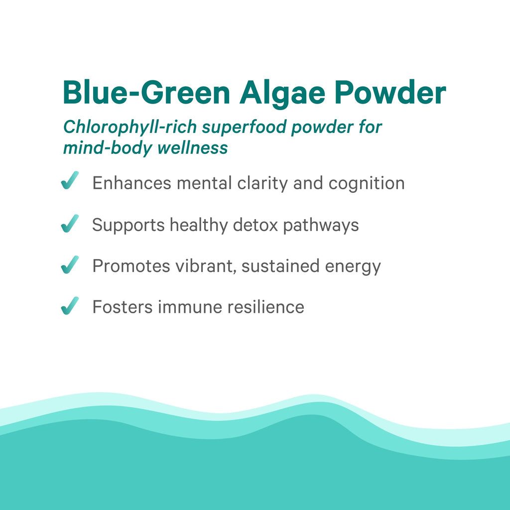 PURE SYNERGY Blue-Green Algae Powder | Superfood Powder with Chlorophyll | Organic AFA Blue Green Algae Supplement | Supports Energy, Mental Clarity, and Detoxification (3.2 oz.) - TrustMedUSA
