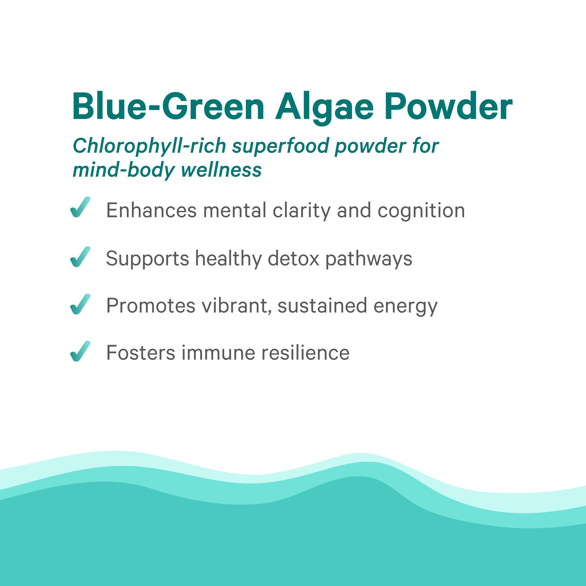 PURE SYNERGY Blue-Green Algae Powder | Superfood Powder with Chlorophyll | Organic AFA Blue Green Algae Supplement | Supports Energy, Mental Clarity, and Detoxification (3.2 oz.) - TrustMedUSA