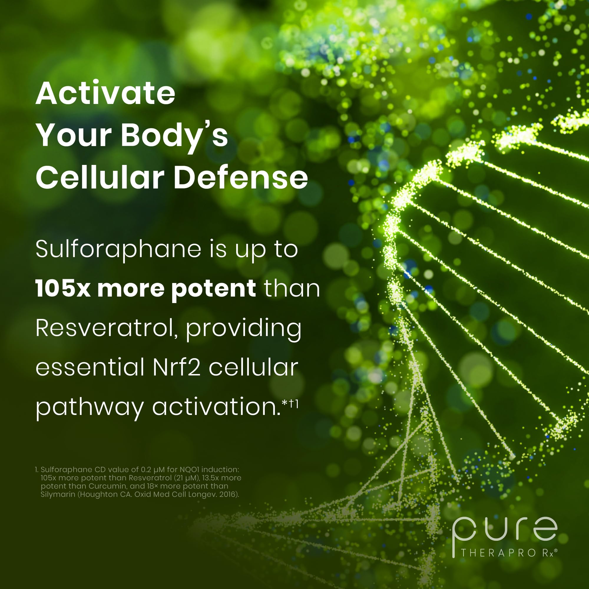 Pure Therapro Rx OncoProtect ES HIGH DOSE Sulforaphane Supplement, Made in USA | 2 Month Supply | 706 mg Patented Activated BroccoRaphanin Broccoli Seed Extract | Glucoraphanin + Myrosinase - Maple Wellness Supplements