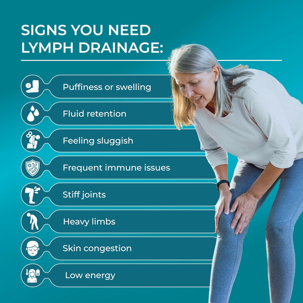 PUREHEALTH RESEARCH Lymph System Support - Lymphatic Drainage Supplement for Women & Men - Bromelain, Echinacea, Dandelion, Burdock Root, Lemon Powder, Kelp, Cleavers & More - 60 Capsules - Maple Wellness Supplements