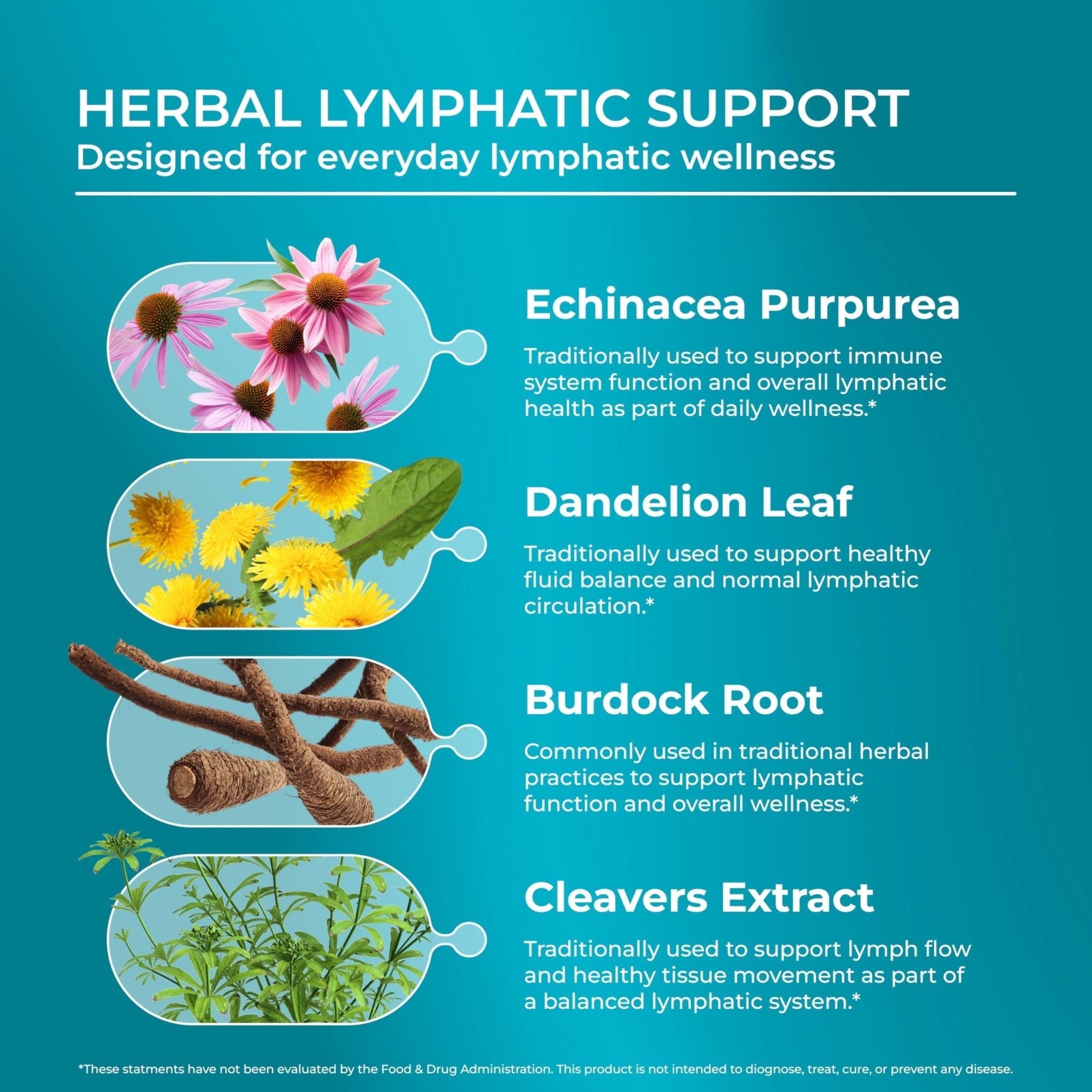 PUREHEALTH RESEARCH Lymph System Support - Lymphatic Drainage Supplement for Women & Men - Bromelain, Echinacea, Dandelion, Burdock Root, Lemon Powder, Kelp, Cleavers & More - 60 Capsules - Maple Wellness Supplements