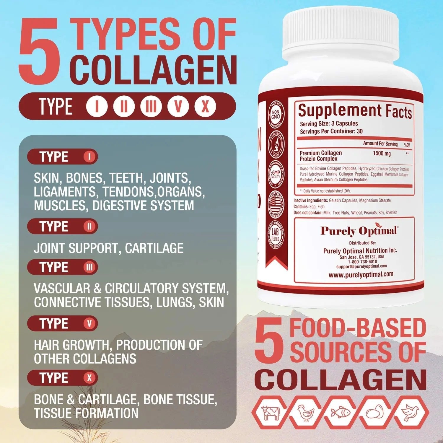 Purely Optimal Premium Multi Collagen Peptides Capsules (Types I, II, III, V, X) - Hair - TrustMedUSA