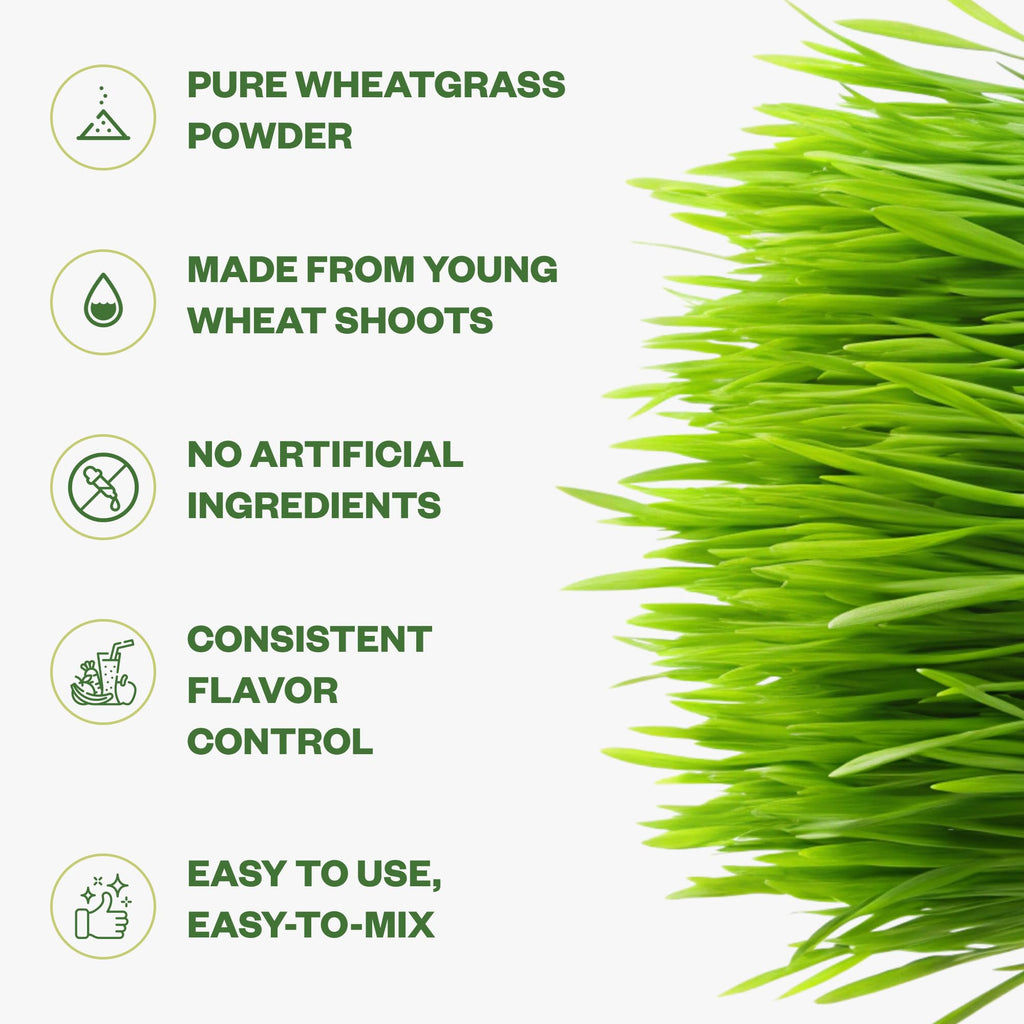 Purisure Wheatgrass Powder, 8oz, Wheat Grass Powder, Green Superfood for Salads, Smoothie and Shakes, Superfood Powder Rich in Immunity Vitamins, Fiber and Minerals, 76 Servings - TrustMedUSA