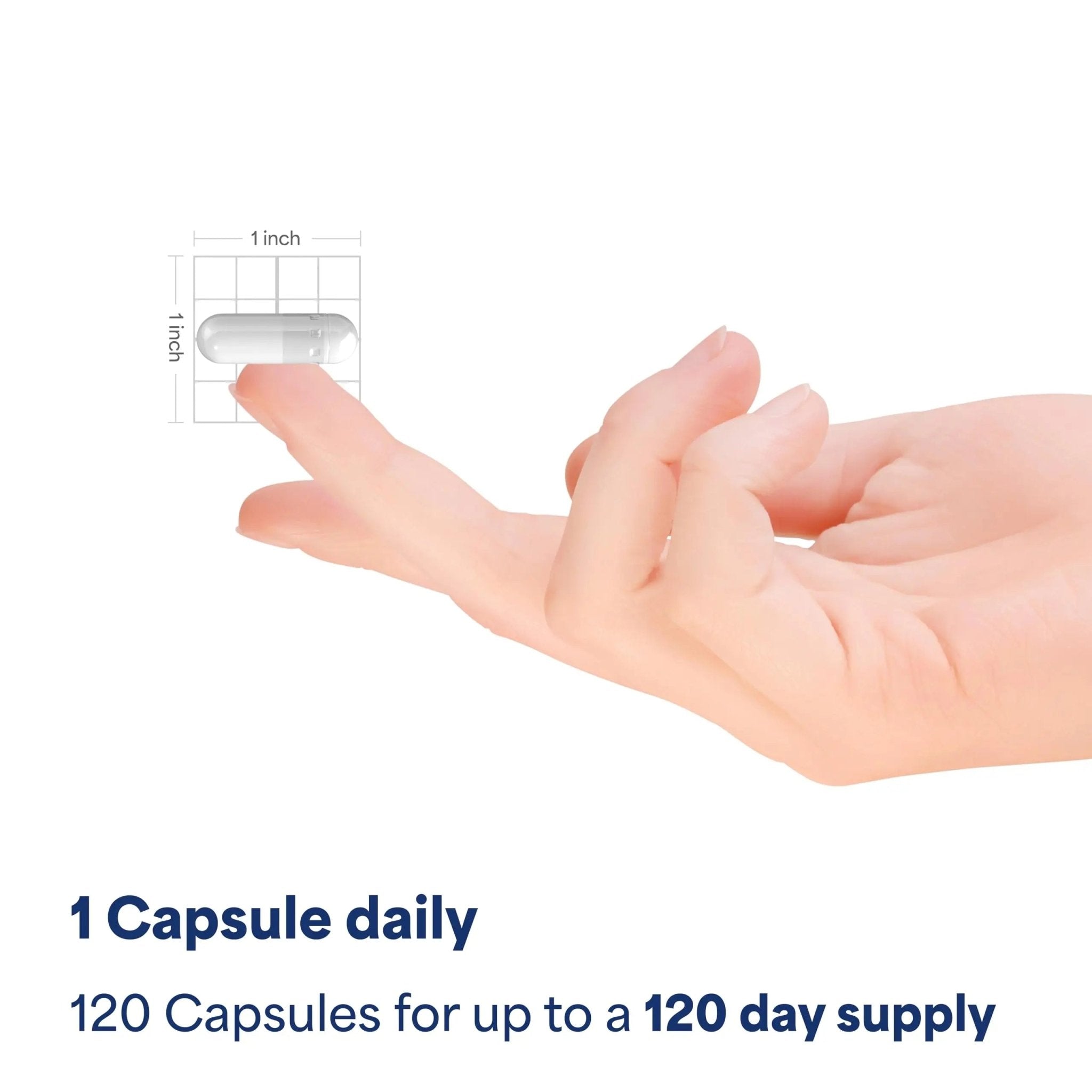 Puritan's Pride Triple Magnesium Complex with Magnesium Oxide, Aspartate, and Citrate 400mg, Dietary Supplement for Muscle, Heart, Nerve, and Bone Support, 120 Rapid Release Capsules - TrustMedUSA