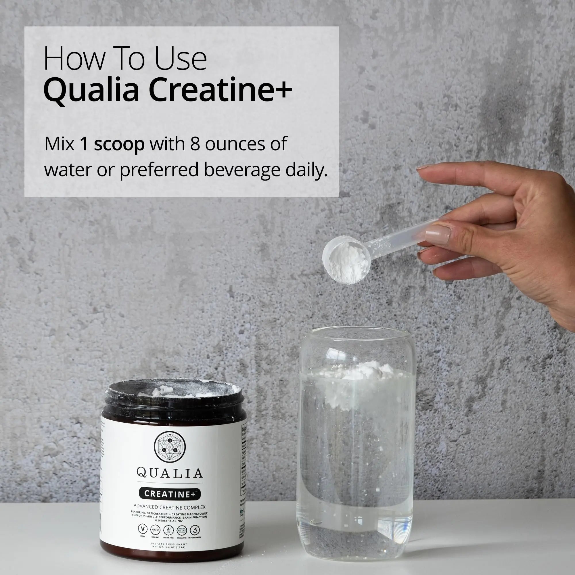 Qualia Creatine | Advanced Creatine Complex | 2 Sources + Magnesium | Optimized Absorption | Muscle Performance, Brain Function, & Healthy Aging (30 Servings) - TrustMedUSA