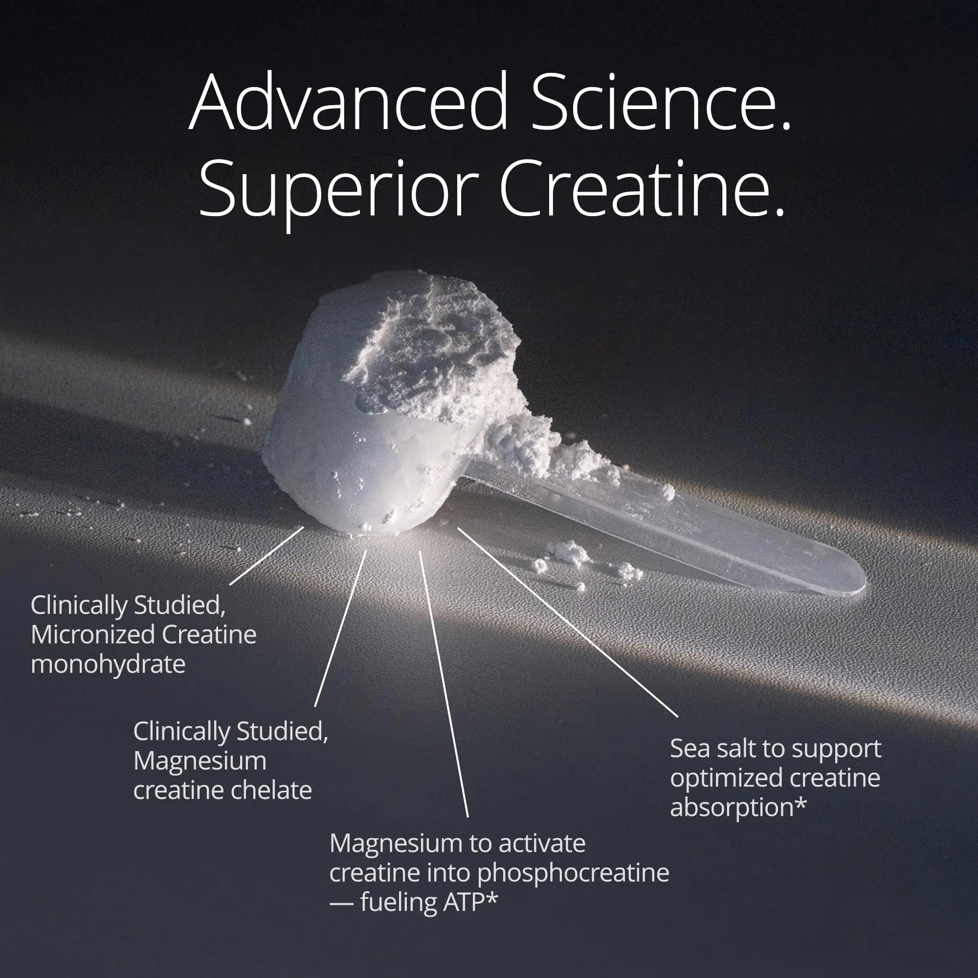 Qualia Creatine | Advanced Creatine Complex | 2 Sources + Magnesium | Optimized Absorption | Muscle Performance, Brain Function, & Healthy Aging (30 Servings) - TrustMedUSA