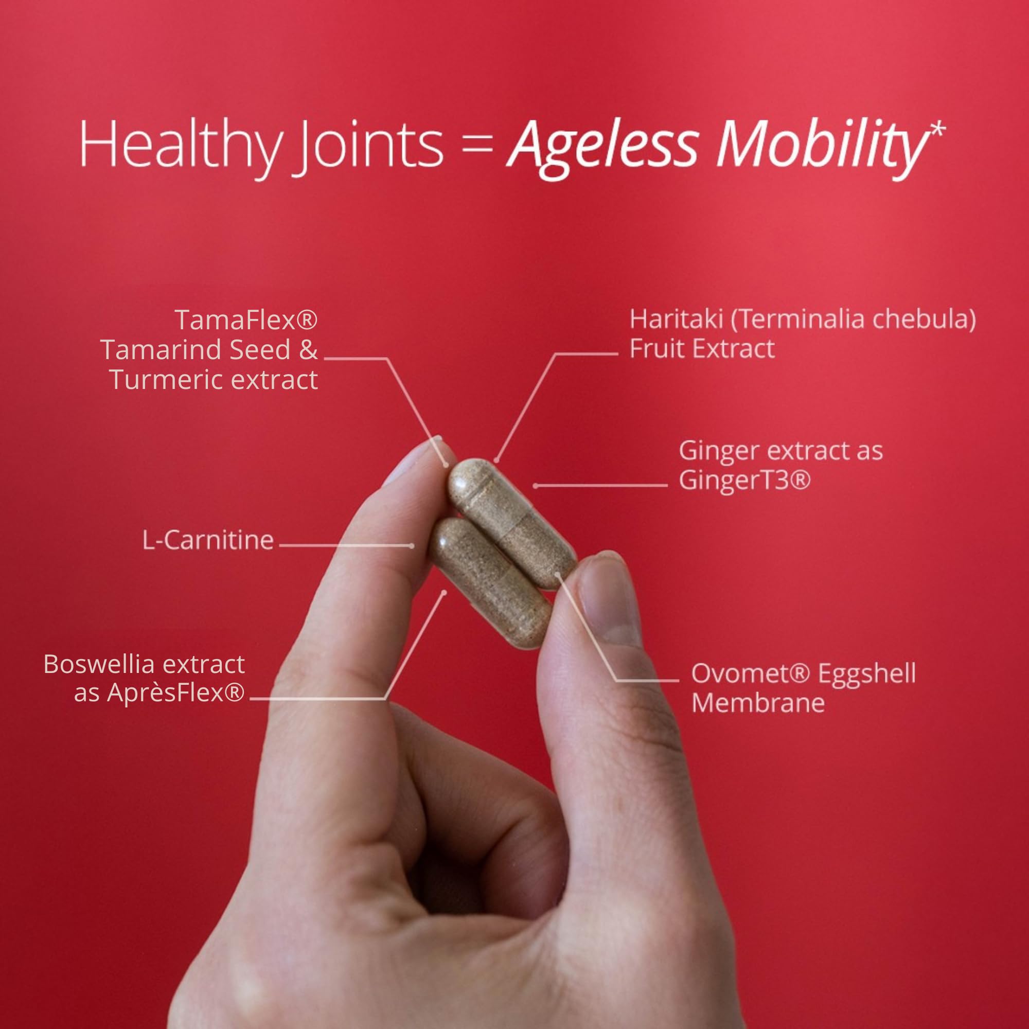 Qualia Joint Health 9 Advanced Joint Health nutrients: denatured Collagen, boswellia, tumeric, Boron, Ginger, L-carnitine. Cartilage Health, Tendon Strength, Healthy Joint Aging (1 Month Supply) - TrustMedUSA