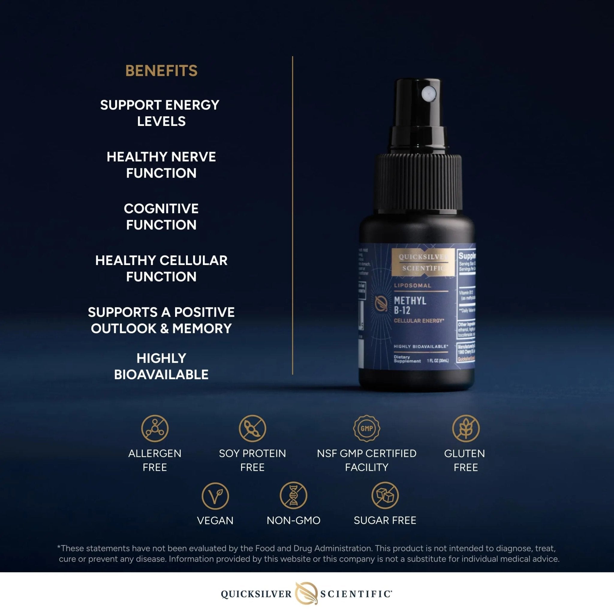 Quicksilver Scientific Methyl B12-1000mcg Vitamin B12 as Methylcobalamin - with Nano Technology for Superior Absorption - Supportive Energy Supplement (30ml / 90 Servings) - TrustMedUSA