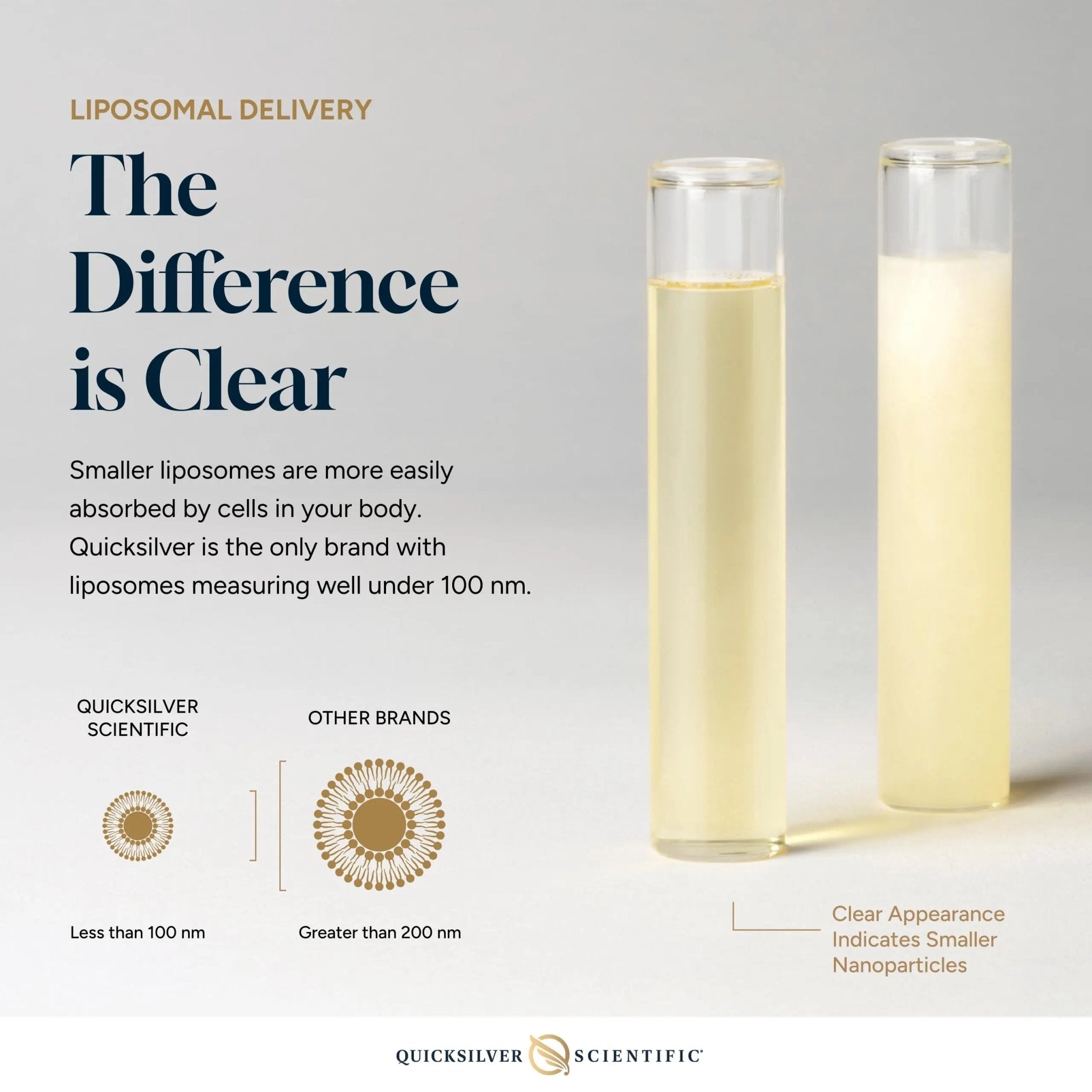Quicksilver Scientific Nanoemulsified DIM - Liposomal DIM Supplement to Support Healthy Hormone Balance for Women & Men - Soy-Free Detox & Immune Support (1.7oz / 50ml) - TrustMedUSA