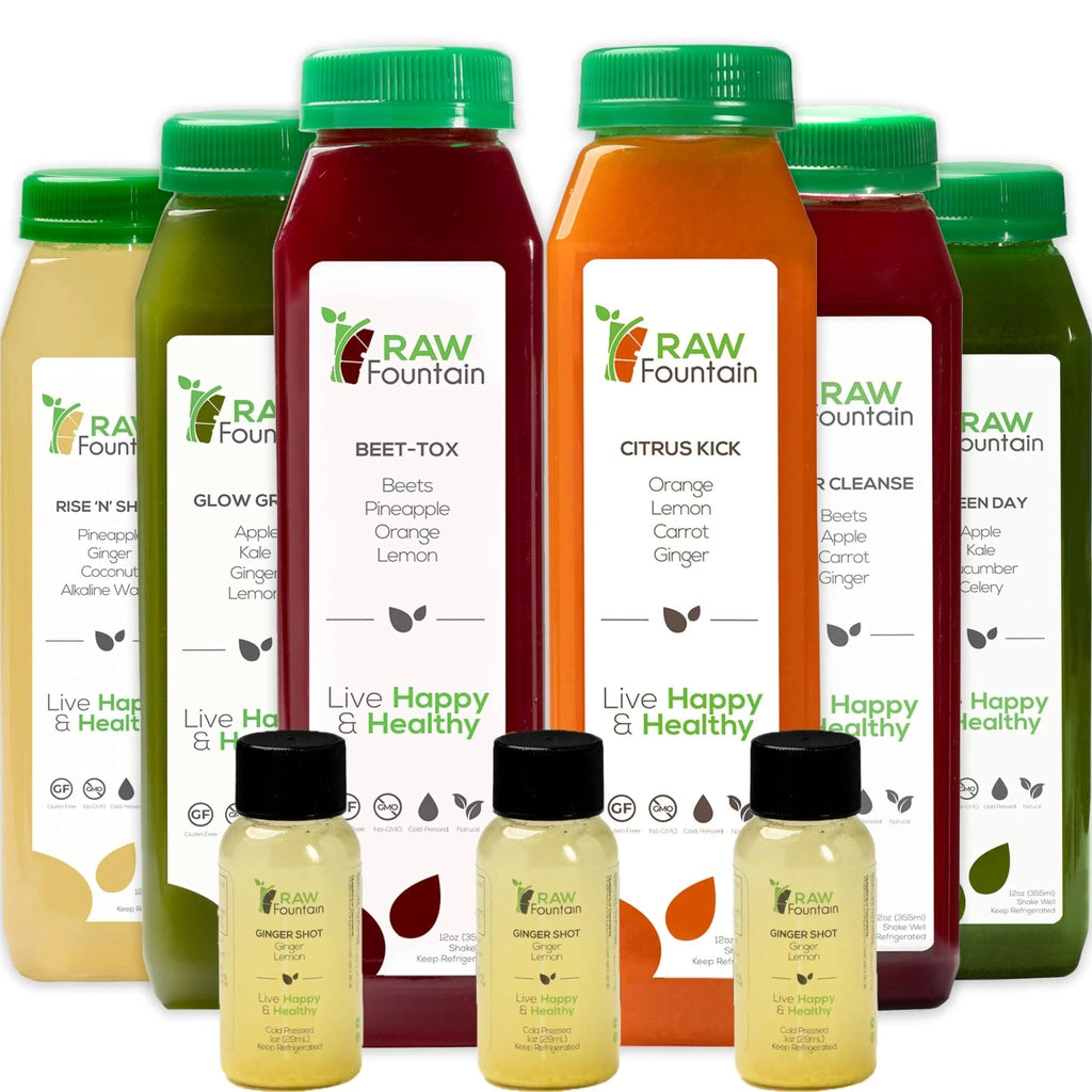 Raw Fountain 1 Day Juice Cleanse, All Natural Detox Cleanse, Cold Presssed Fruit - TrustMedUSA