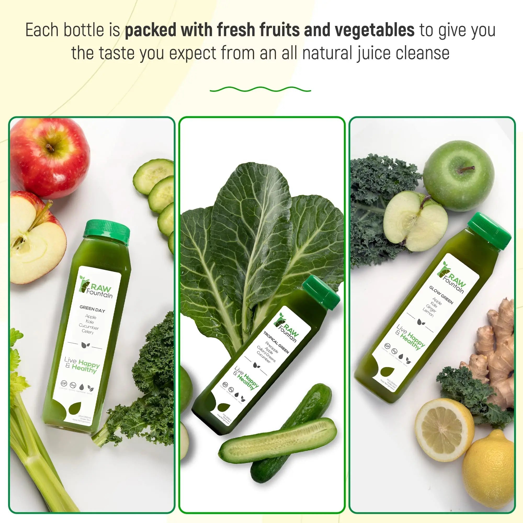 Raw Fountain 5 Day Green Juice Cleanse, All Natural Raw, Vegan Detox, Cold Pressed - TrustMedUSA