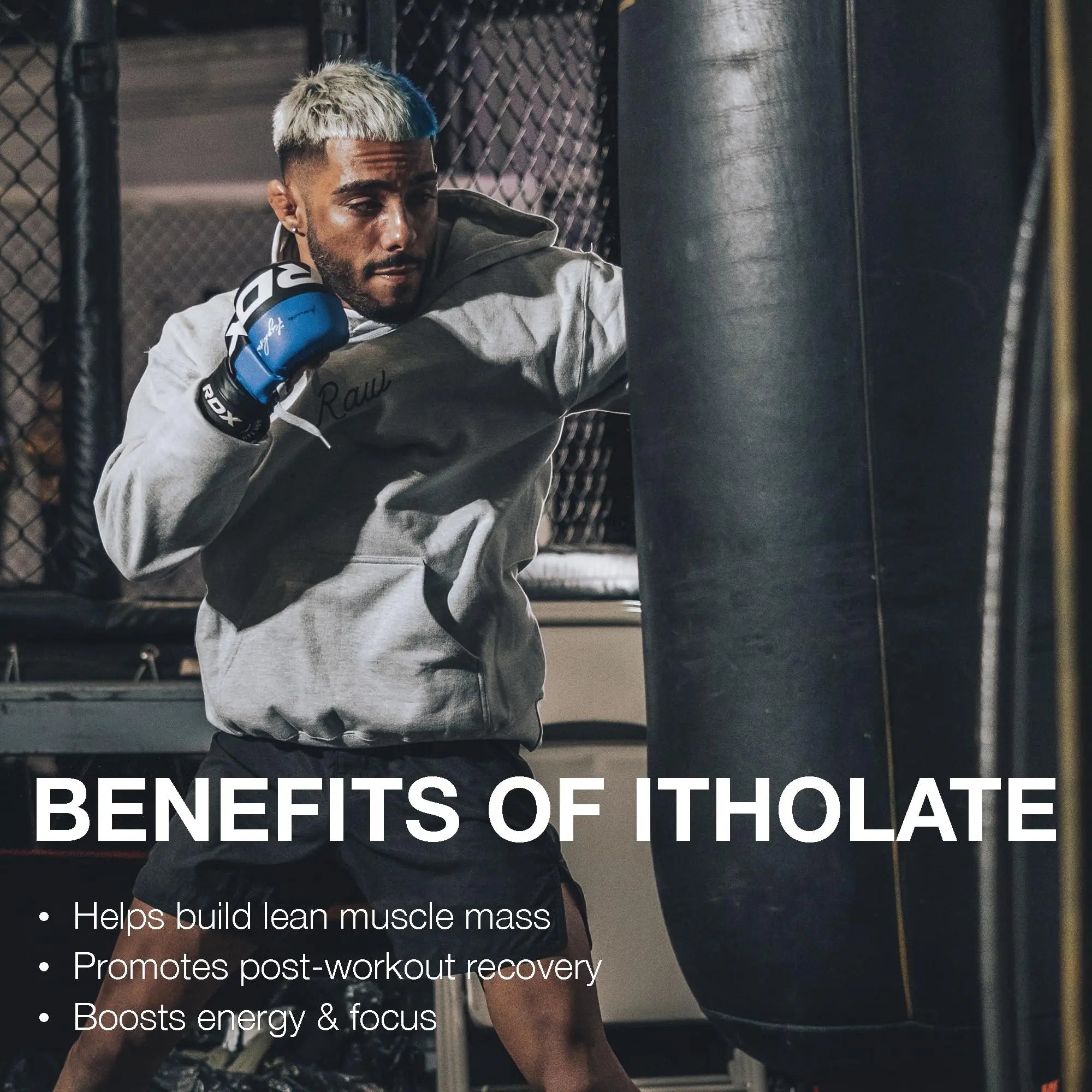 RAW Whey Isolate Protein Powder, Gingerbread (CBUM Itholate Protein) - 100% Grass - TrustMedUSA