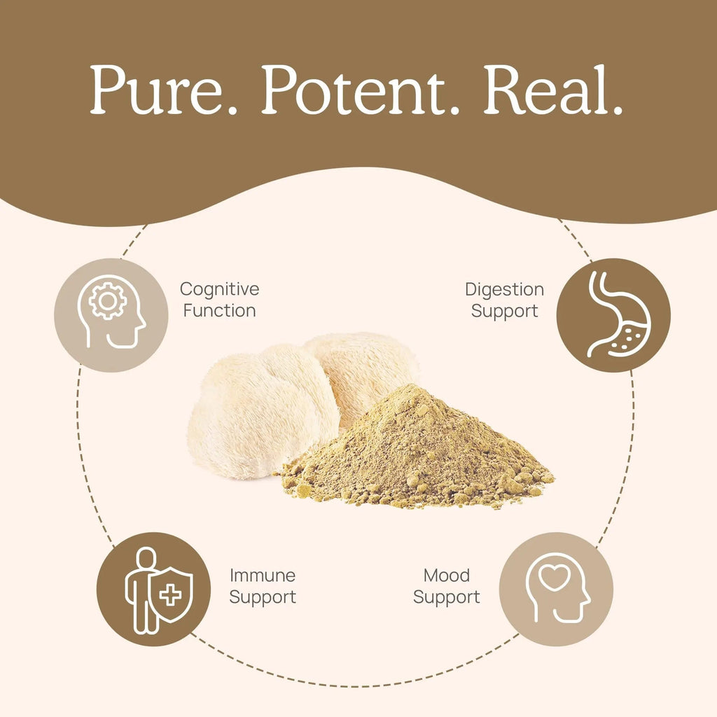 Real Mushrooms Lion’s Mane Powder - Organic Lions Mane Mushroom Extract - TrustMedUSA