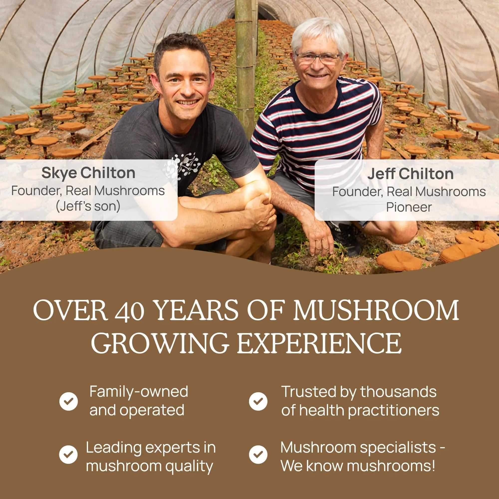 Real Mushrooms Lion’s Mane Powder - Organic Lions Mane Mushroom Extract - TrustMedUSA