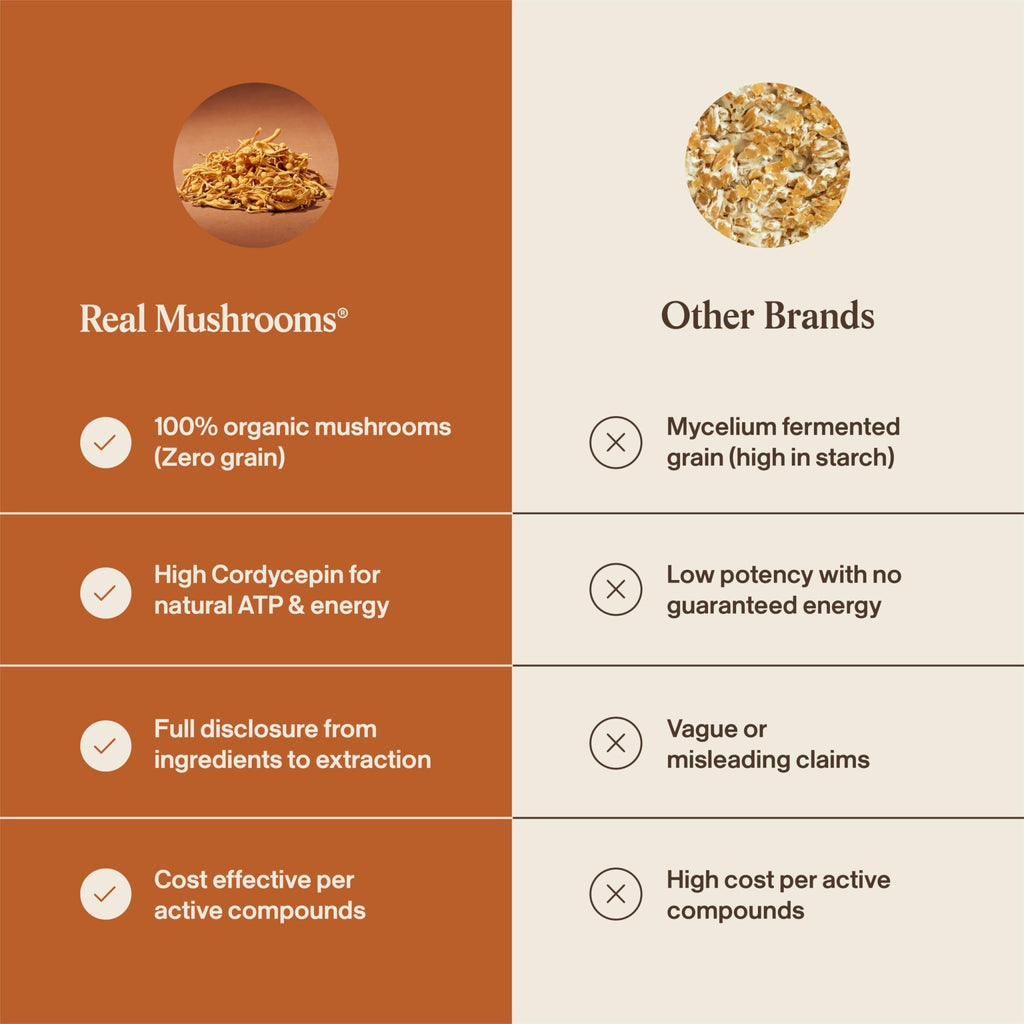Real Mushrooms Supplement Capsules - Cordyceps Mushroom Powder Rich in Beta Glucans - Mushroom Pills Cordyceps for Energy and Performance - Vegan, Non-GMO, No Grain Fillers, 120 ct - TrustMedUSA