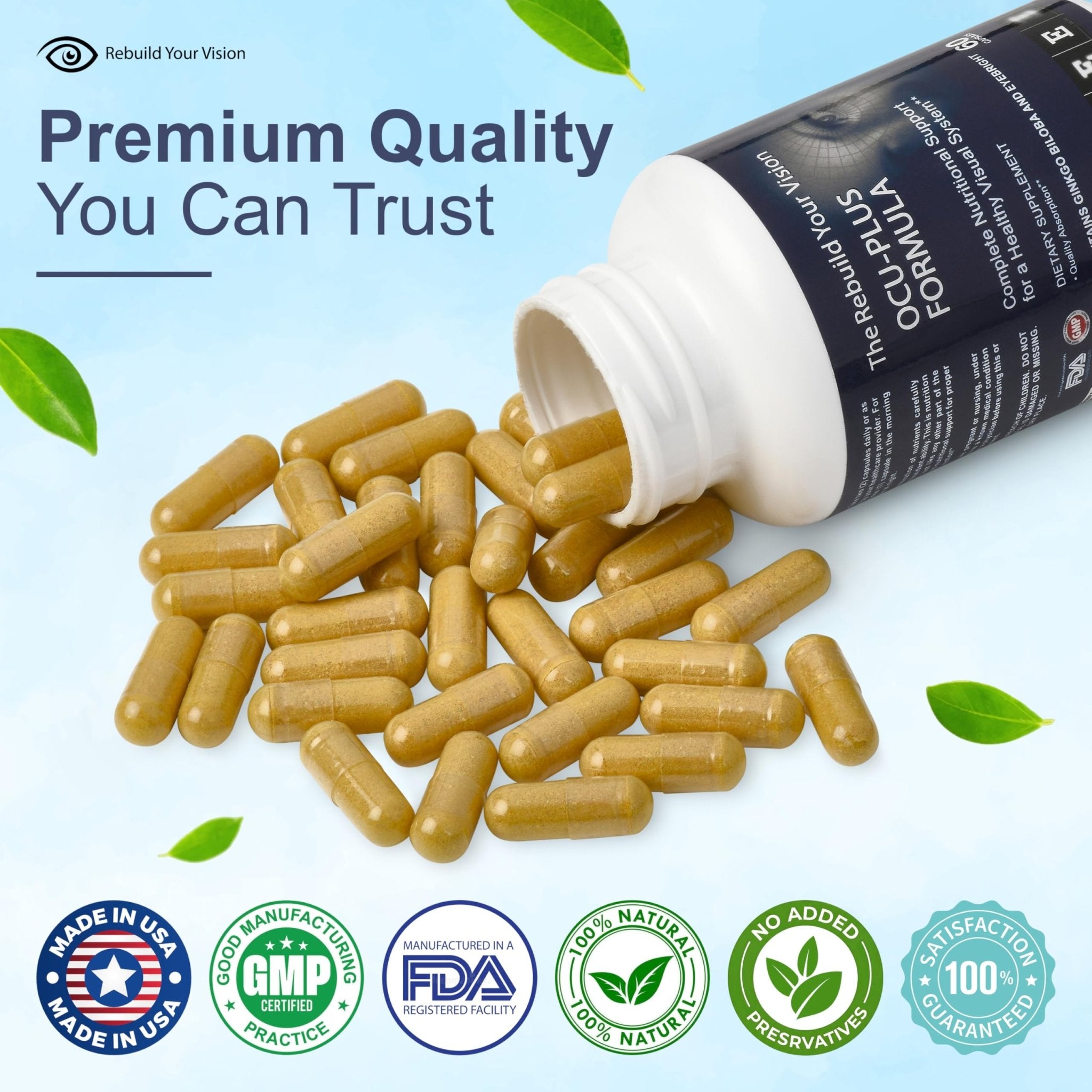 Rebuild Your Vision Ocu-Plus Formula – Eye Health Supplement with Lutein & Zeaxanthin – Supports Visual Clarity, Night Vision & Macular Health – with Bilberry, Ginkgo Biloba & NAC – 60 Capsules - TrustMedUSA