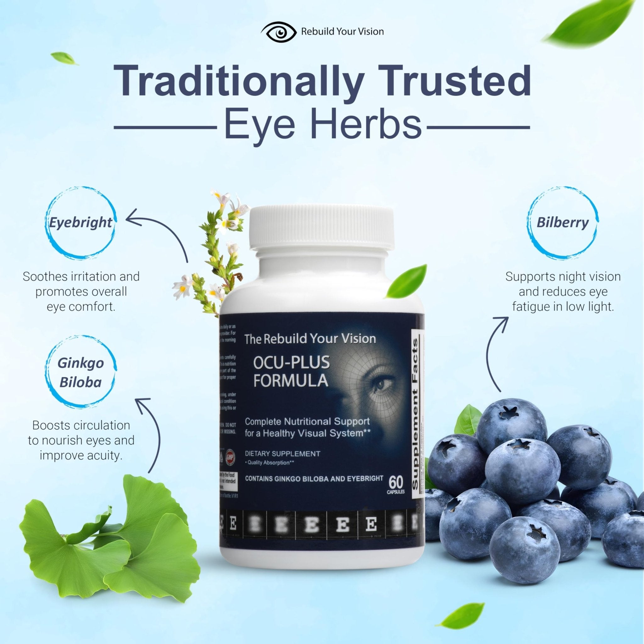 Rebuild Your Vision Ocu-Plus Formula – Eye Health Supplement with Lutein & Zeaxanthin – Supports Visual Clarity, Night Vision & Macular Health – with Bilberry, Ginkgo Biloba & NAC – 60 Capsules - TrustMedUSA