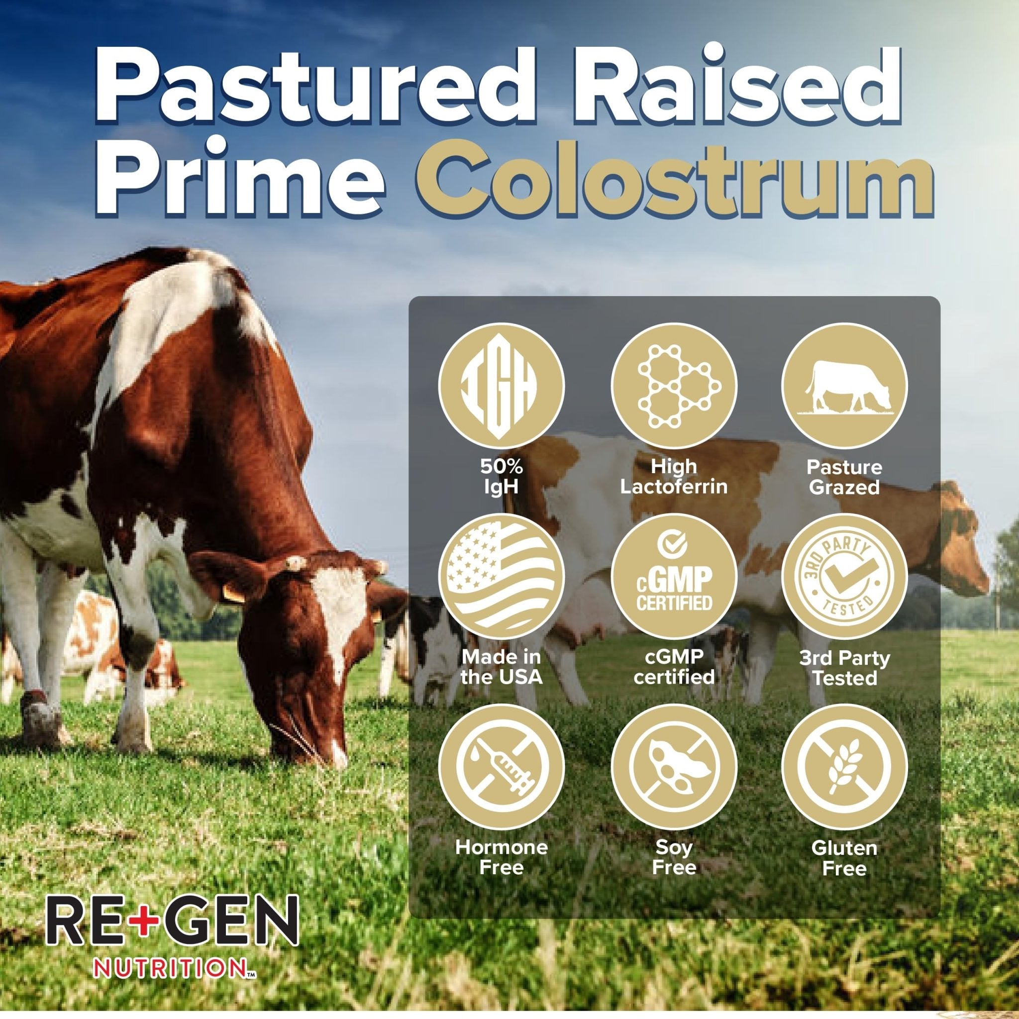 Re+Gen Nutrition Colostrum Gold 50 Bovine Colostrum Powder for Gut Health, Immune Support & Muscle Recovery – 50% IgG Concentration, Grass Fed, Gluten Free, No Artificial Ingredients - TrustMedUSA