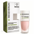 Regenerum regenerative nail serum with hardening in nail polish 8ml. - Maple Wellness Supplements