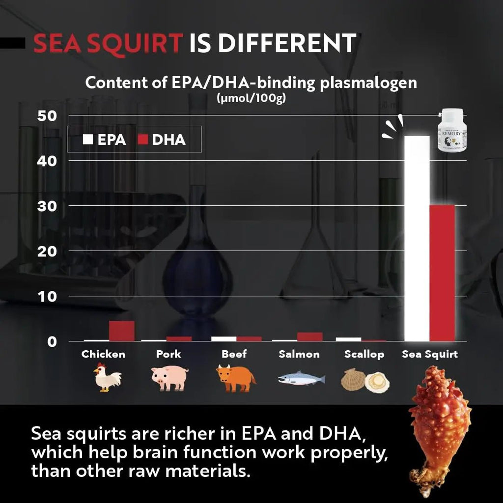 REMORY Plasmalogen Sea Squirt Supplement - Brain Health Supplement - 30 Days Supply - TrustMedUSA