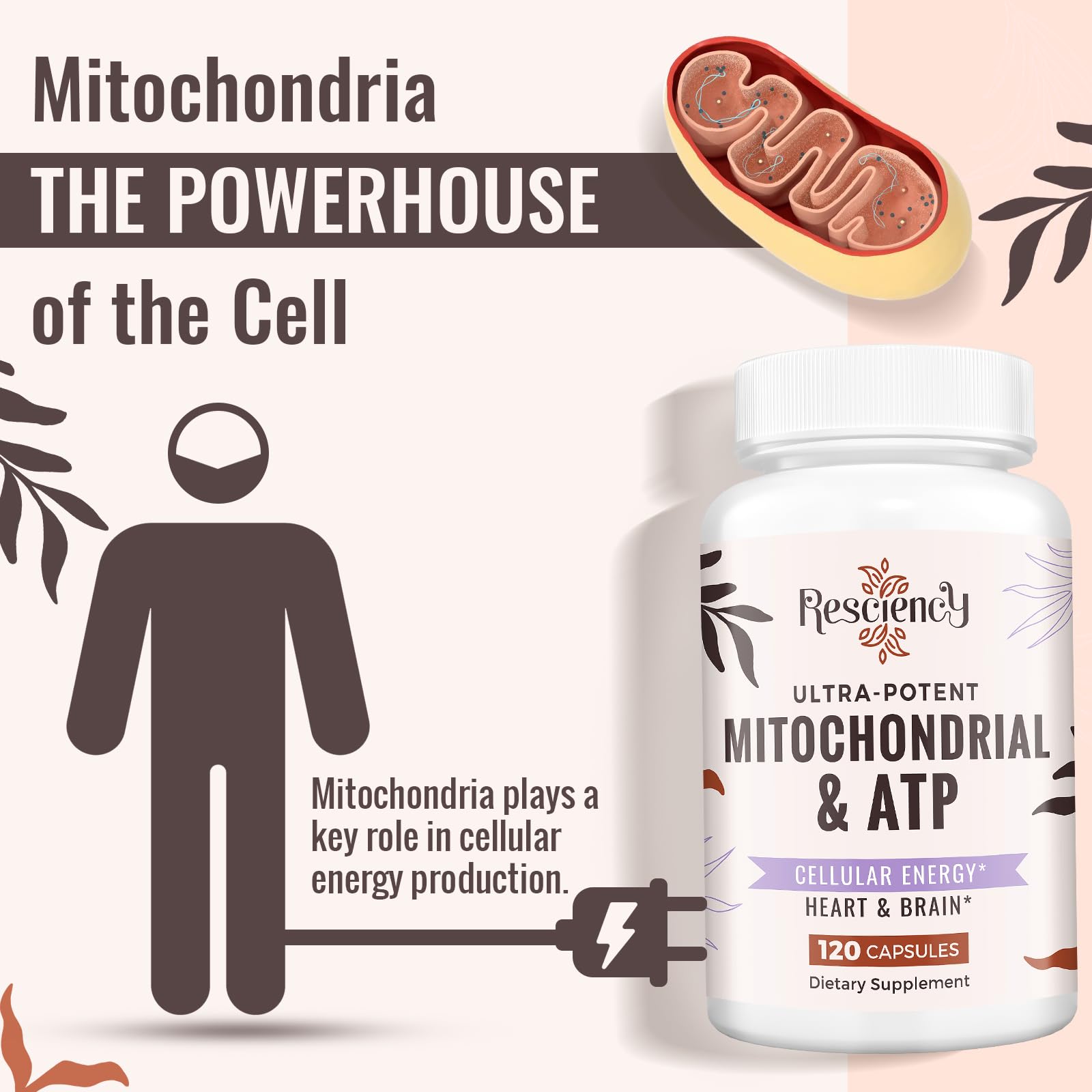 Resciency 2326 MG Mitochondrial Supplements with ATP, Vitamins, CoQ10 & PQQ, More Effective Than Creatine HMB & Nitric Oxide, Energy, Endurance, Strength, Recovery & Muscle, Organic, 120 Capsules - TrustMedUSA