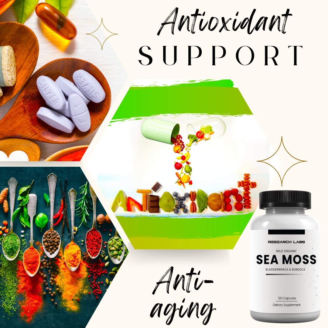Research Labs 2 Fer 1 Ad Organic Irish Sea Moss Capsules 240 Total Pills, Raw Wildcrafted Seamoss Enhanced w/Bladderwrack & Burdock Root Antioxidant Powerhouse. Thyroid Support - TrustMedUSA