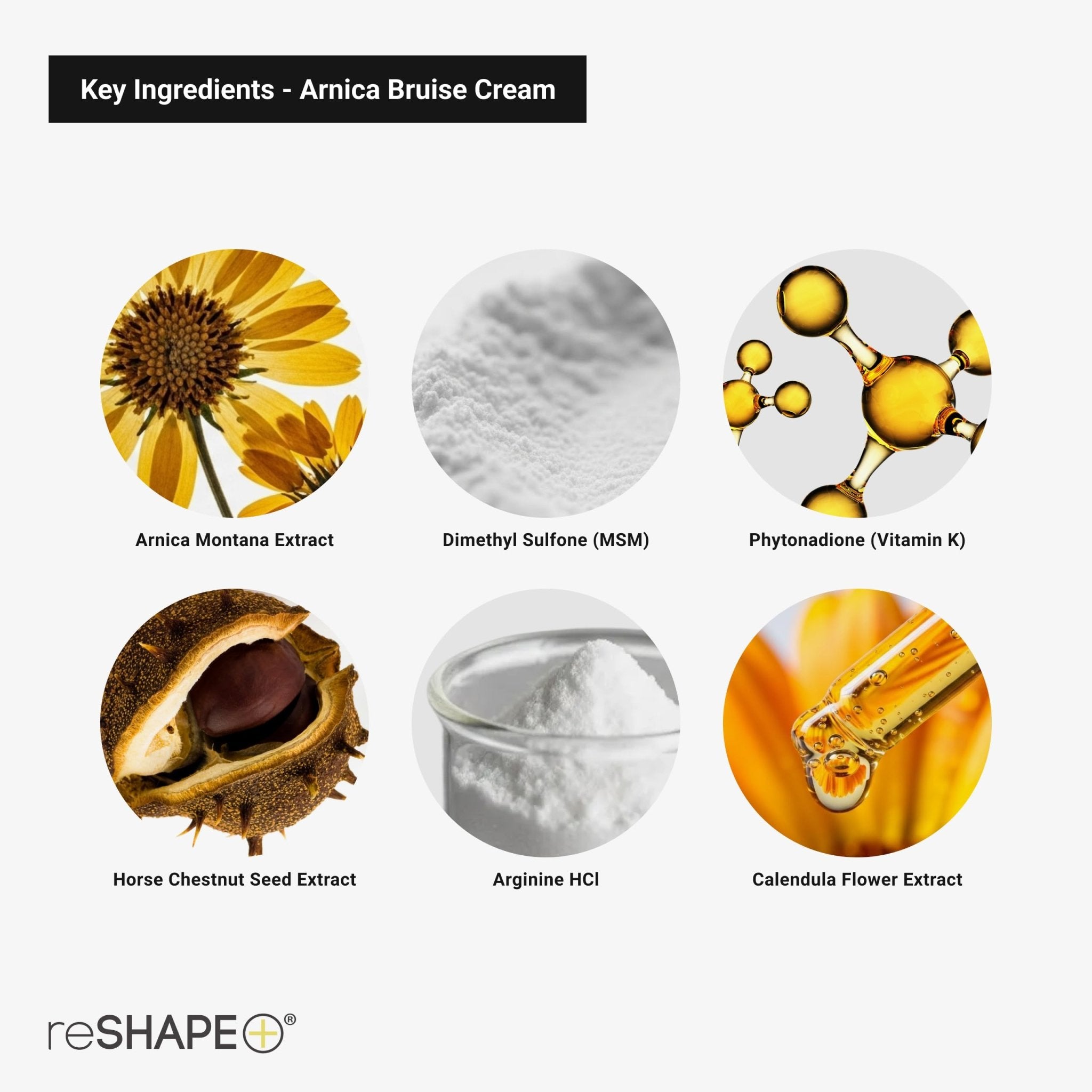 Reshape+ Arnica Bruise Relief Topical Cream For Bruising, Swelling, & Discoloration On Skin, Natural Skin Care Homeopathic Arnica Lotion W/Vitamin K, Horse Chestnut, & Collagen, Large 8 Fl Oz - TrustMedUSA