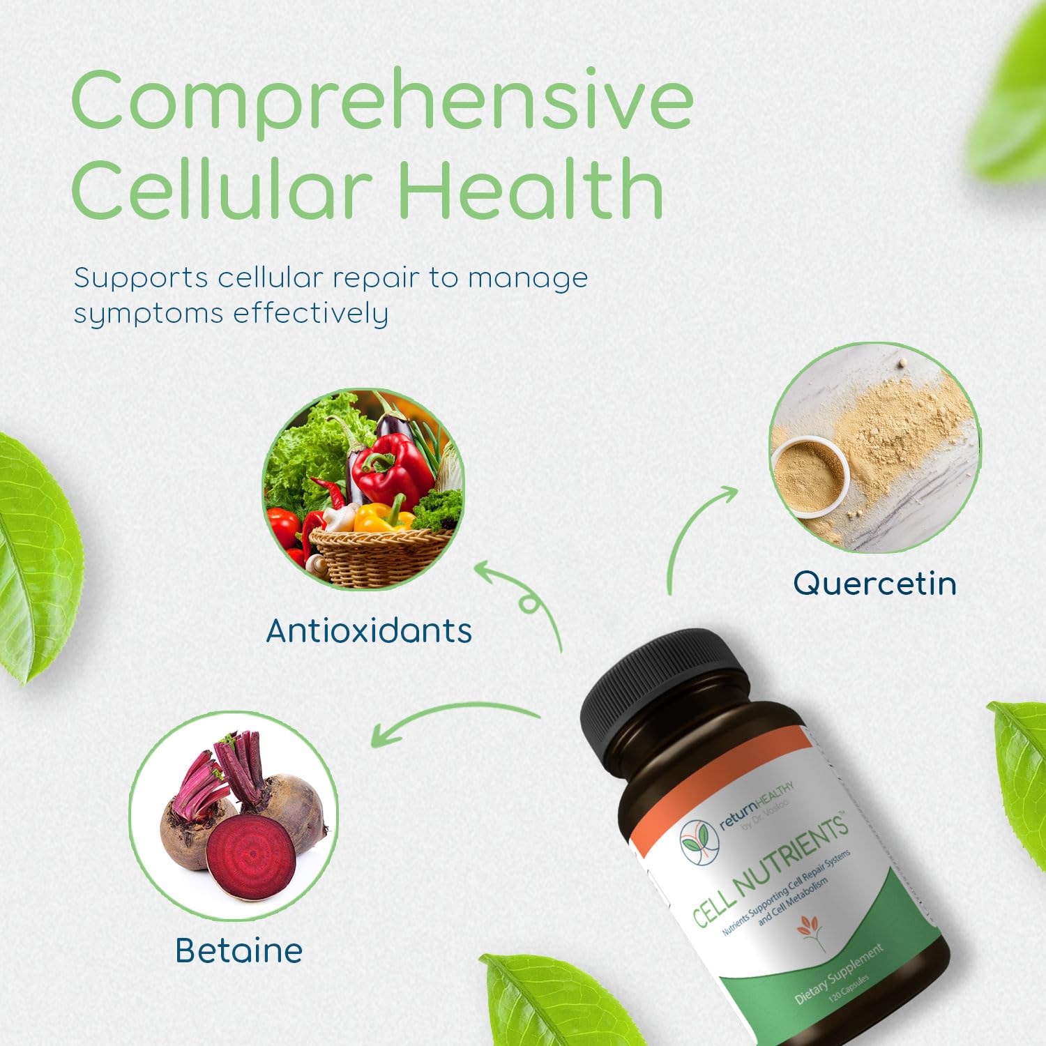 Return Healthy Cell Nutrients | Promotes Cell and Membrane Repair & Cell Metabolism | Helps Fight Tick-Borne Infections & More | Mitochondrial Supplements | Non-GMO, Vegan, 120 caps - TrustMedUSA