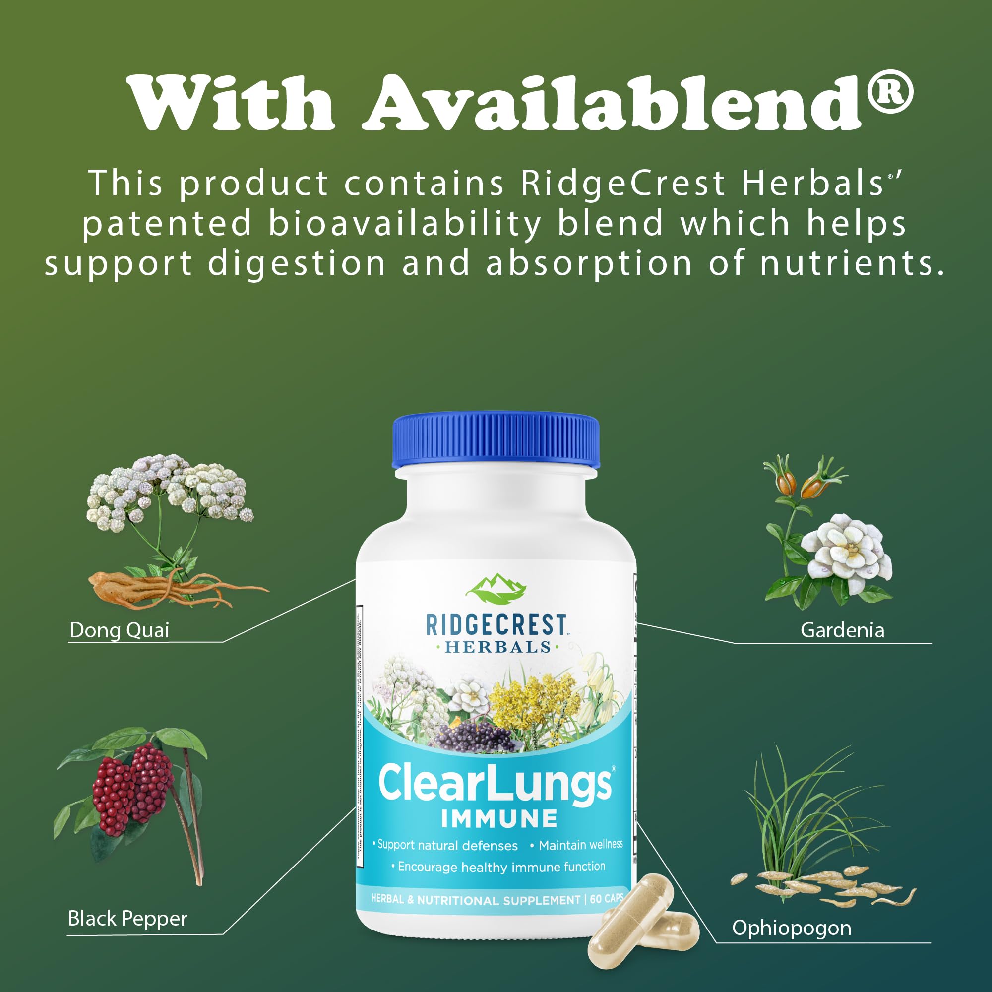 RidgeCrest Herbals ClearLungs Immune, Lung Support Supplement with Elderberry, Zinc, Vitamin C, Vitamin A, Olive Leaf, Mullein, Lung Wellness Formula for Respiratory Health (60 Vegan Caps, 30 Serv) - TrustMedUSA