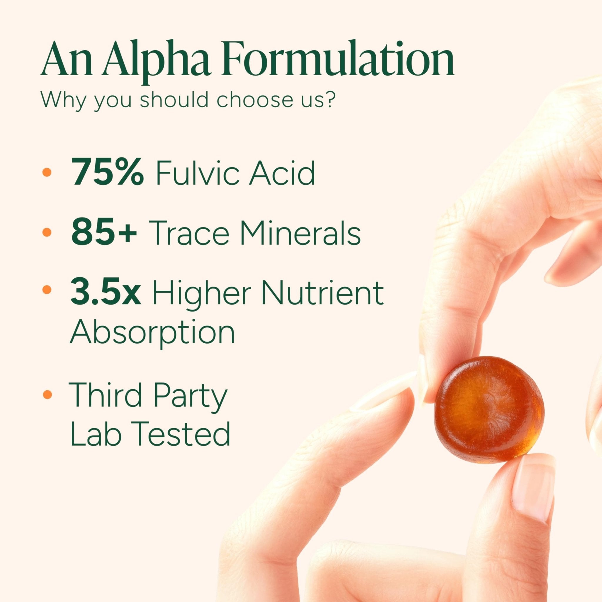 ROOT LABS 10-in-1 Alpha Shilajit Gummies | 4000 mg Pure Himalayan Shilajit with Tongkat Ali & Maca Root | Shilajit for Men & Women | ShilAbsorb Bioavailability Tech - TrustMedUSA